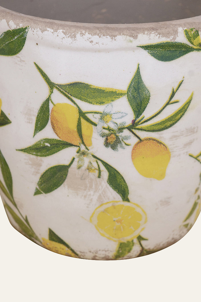 Ceramic pot 