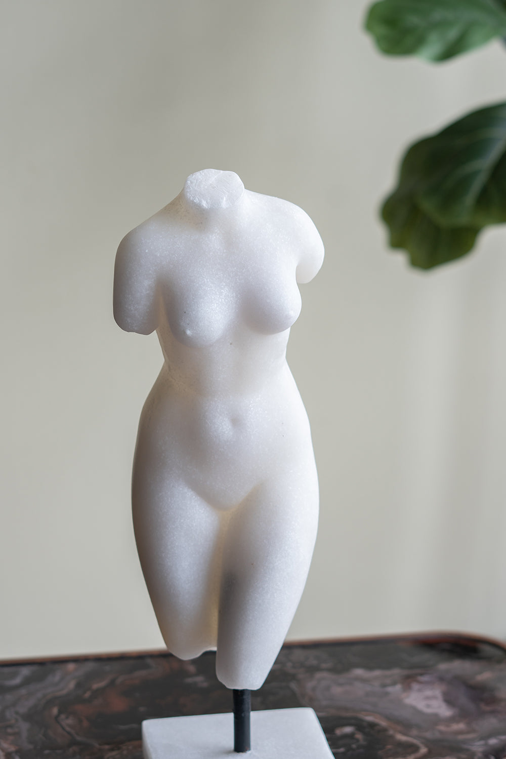 graceful female curves