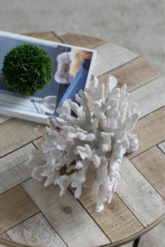 White coral sculpture 