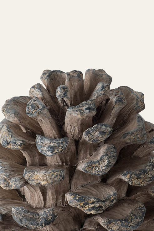 Pinecone Decor for home