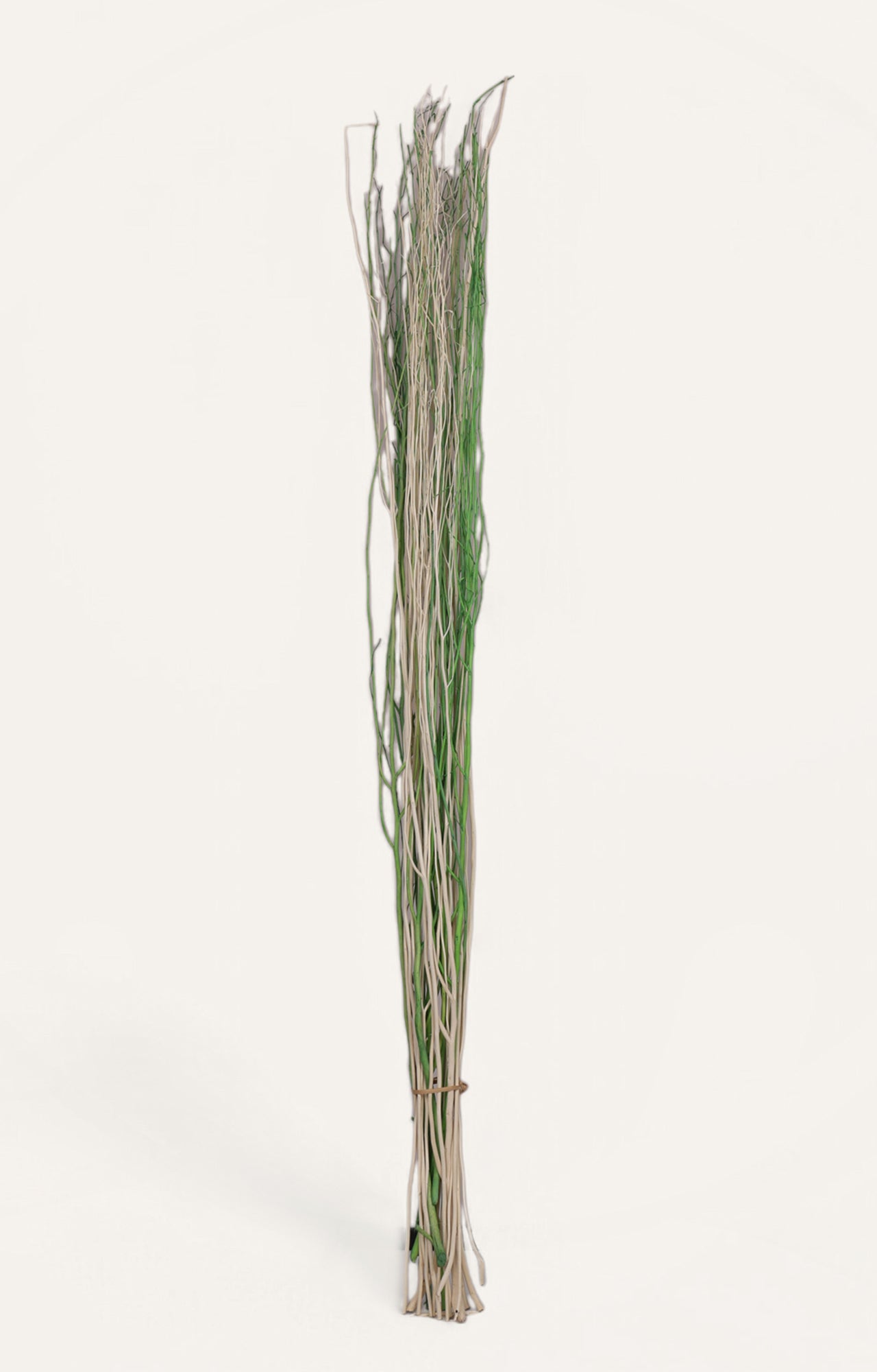 El afros White Lady Deco Stick