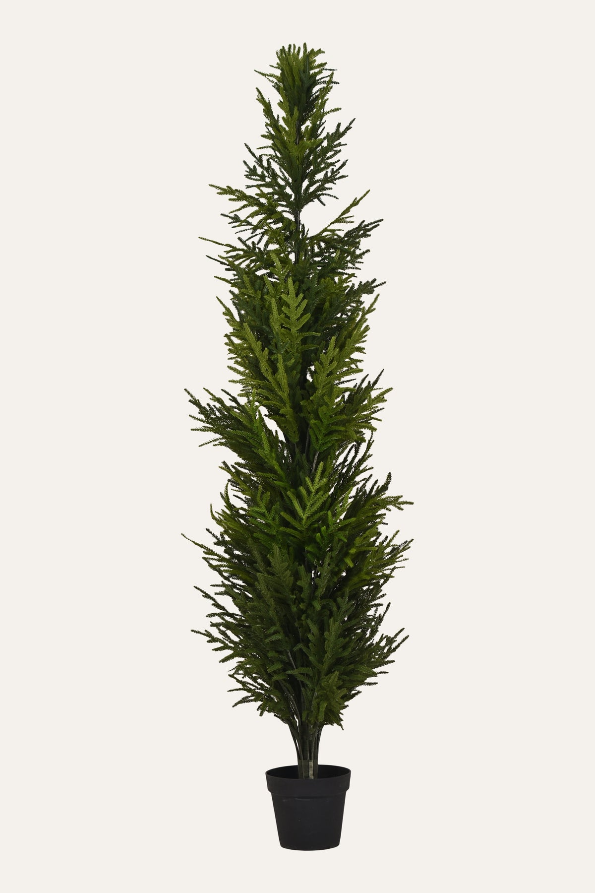 Evergreen Calm Artificial Mini Pine Plant
