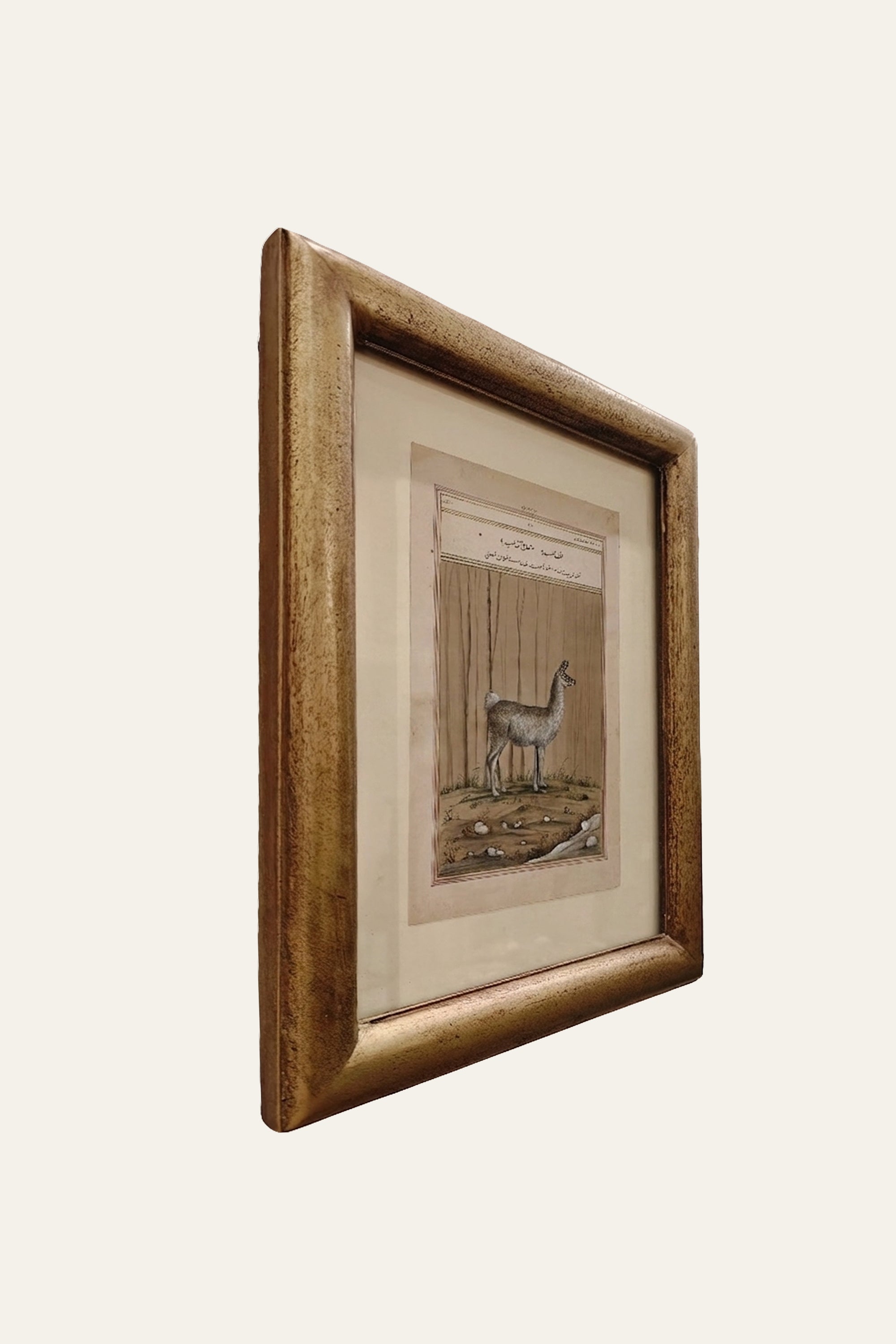 Framed Llama Artwork