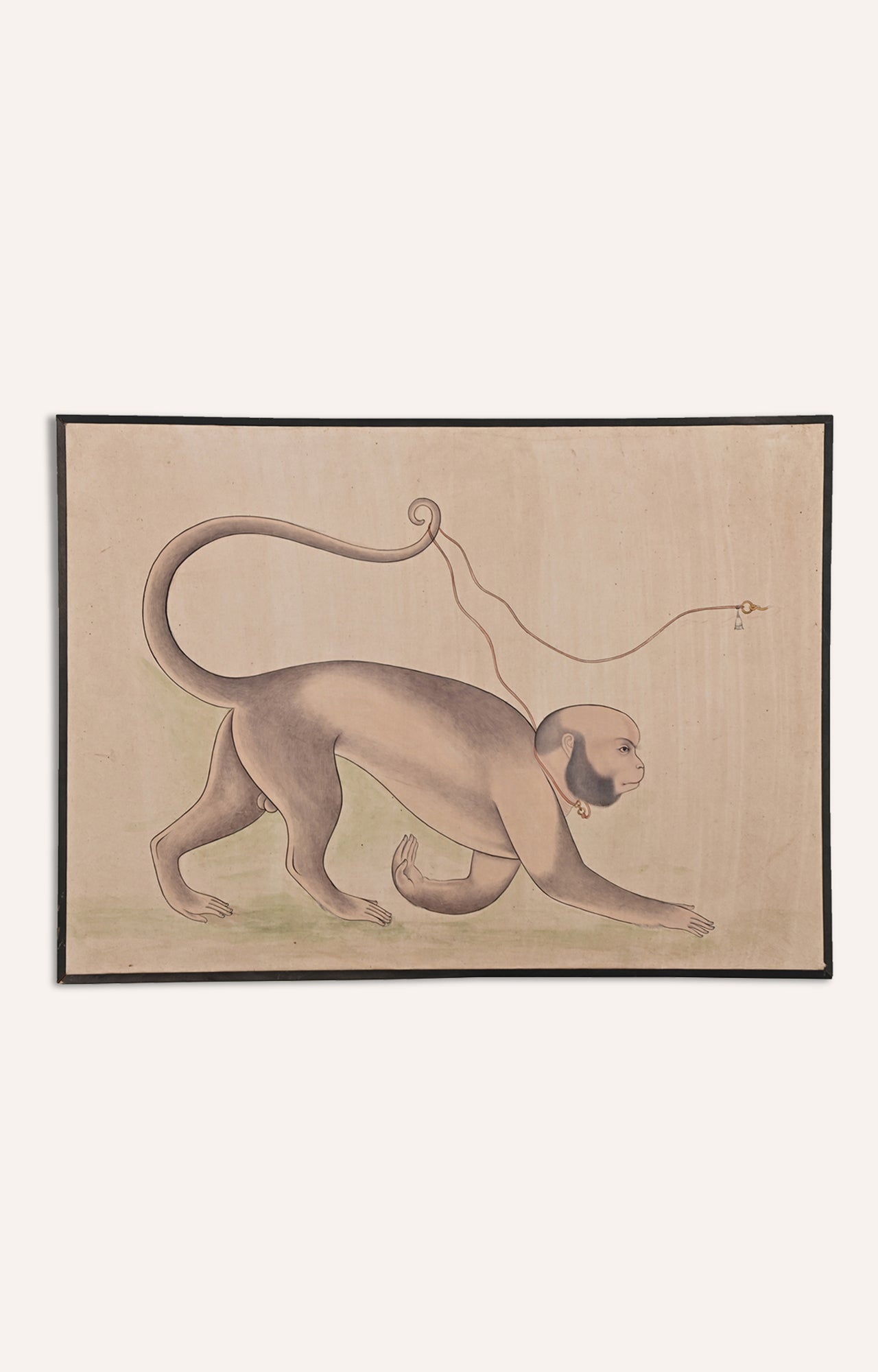 Framed artwork of monkey 