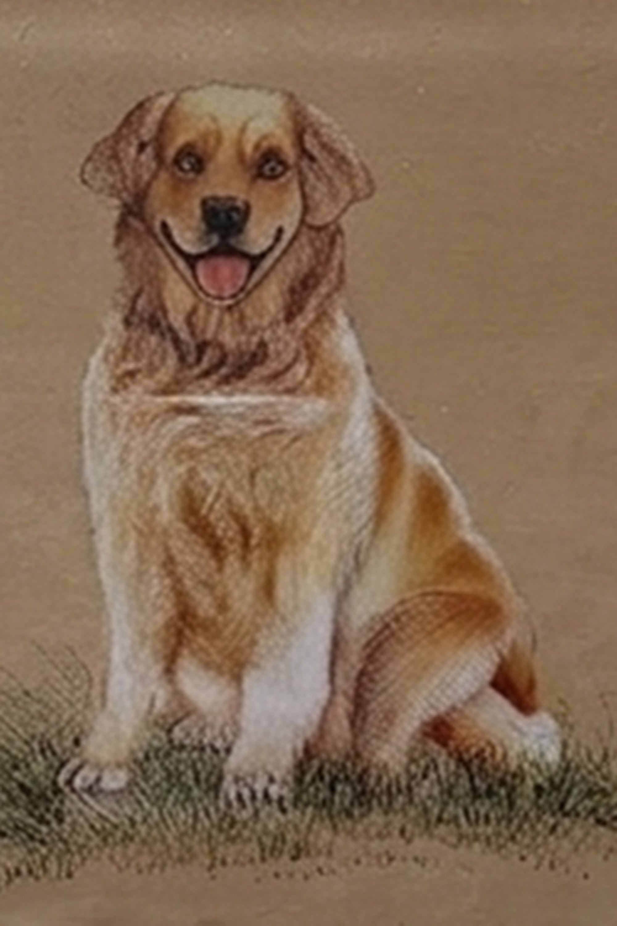 Golden Retriever Wall Art