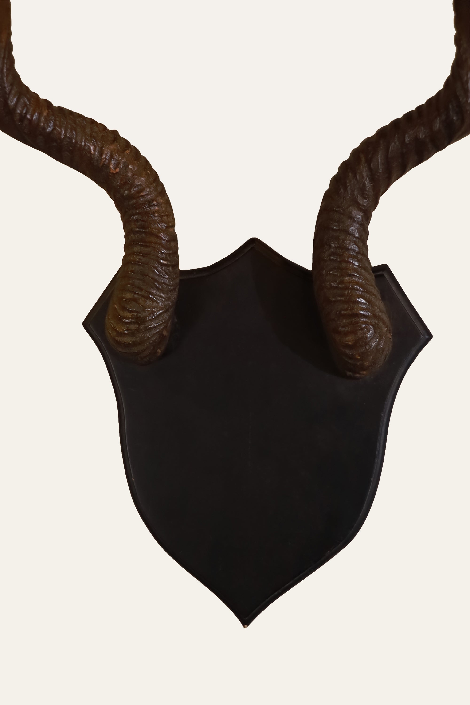 Wooden Antler for Living Room Decor