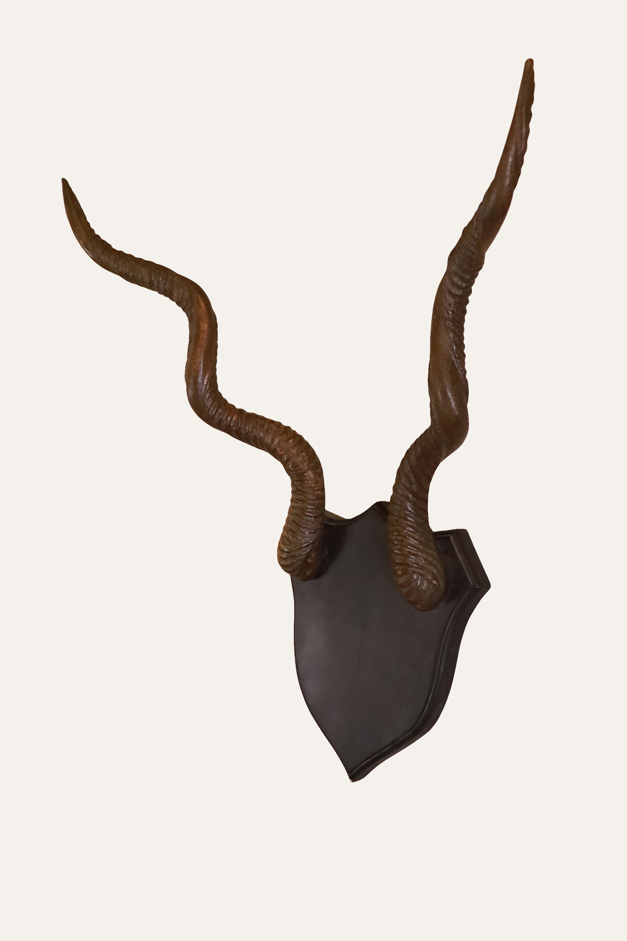 Wooden Antler for Living Room Decor