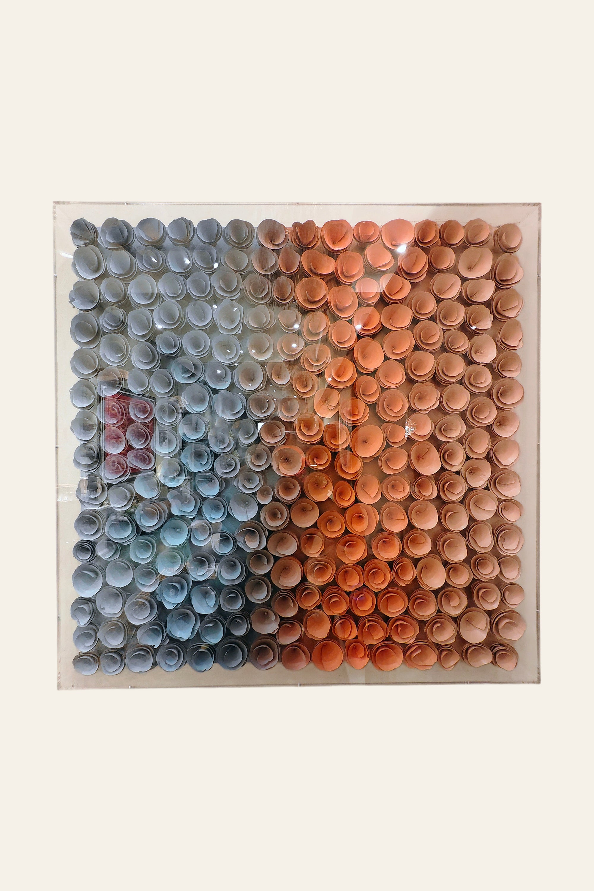 Modern Floral Motif Gradient Wall Art