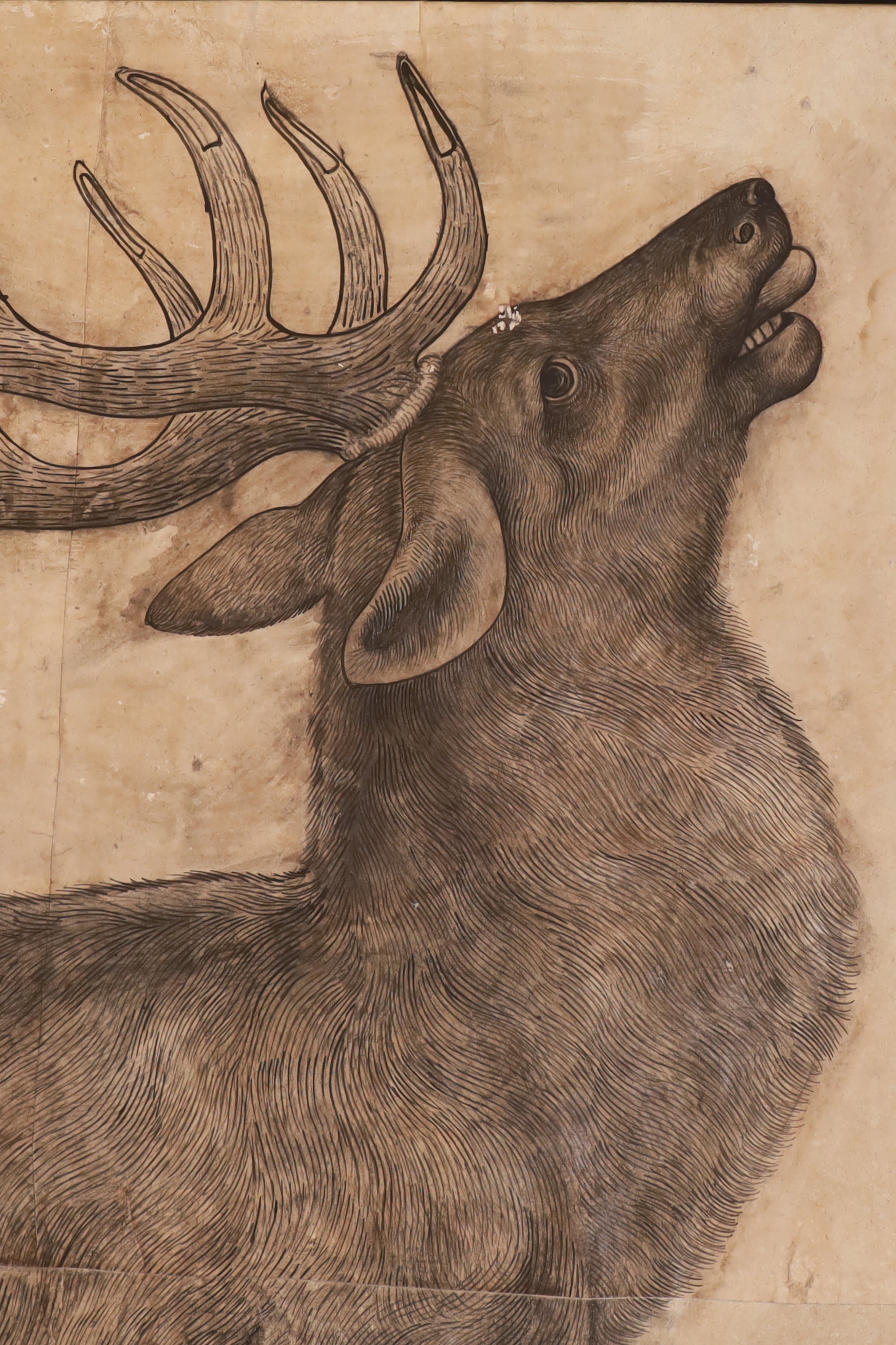 Stag Wildlife Wall Sketch for Home Libraries & Office Spaces