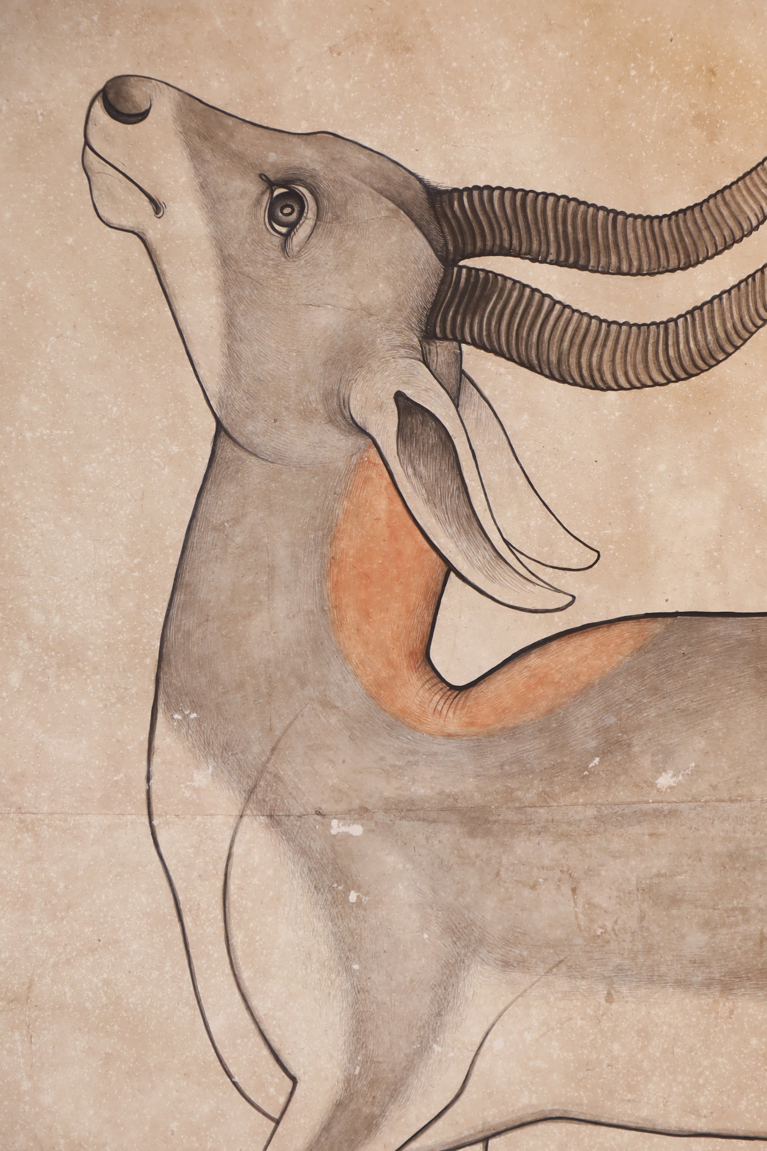 Antelope Watercolor Painting for Kids' Bedroom