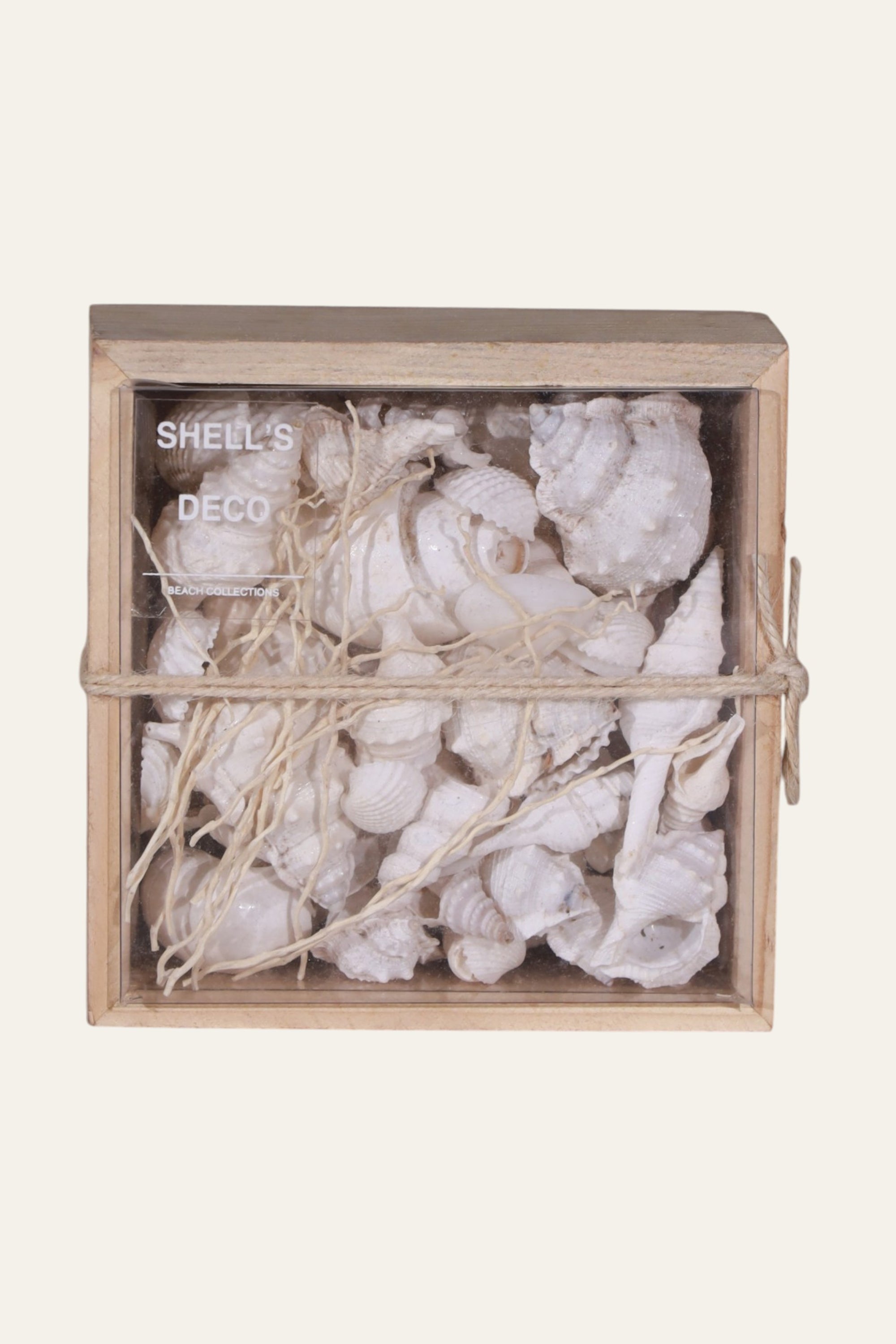White Shell Box for Coastal Wall & Shelf Decor