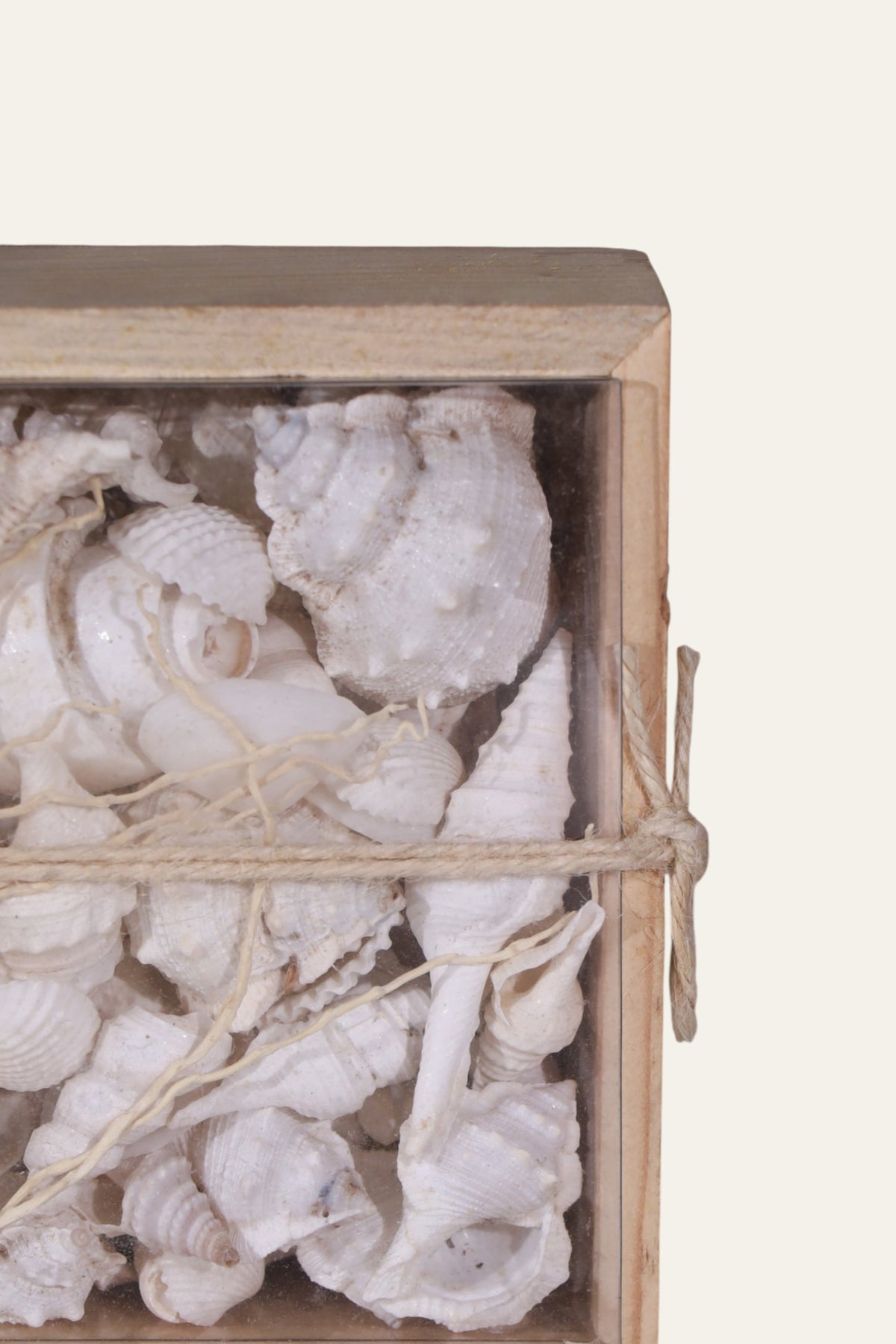 White Shell Box for Coastal Wall & Shelf Decor