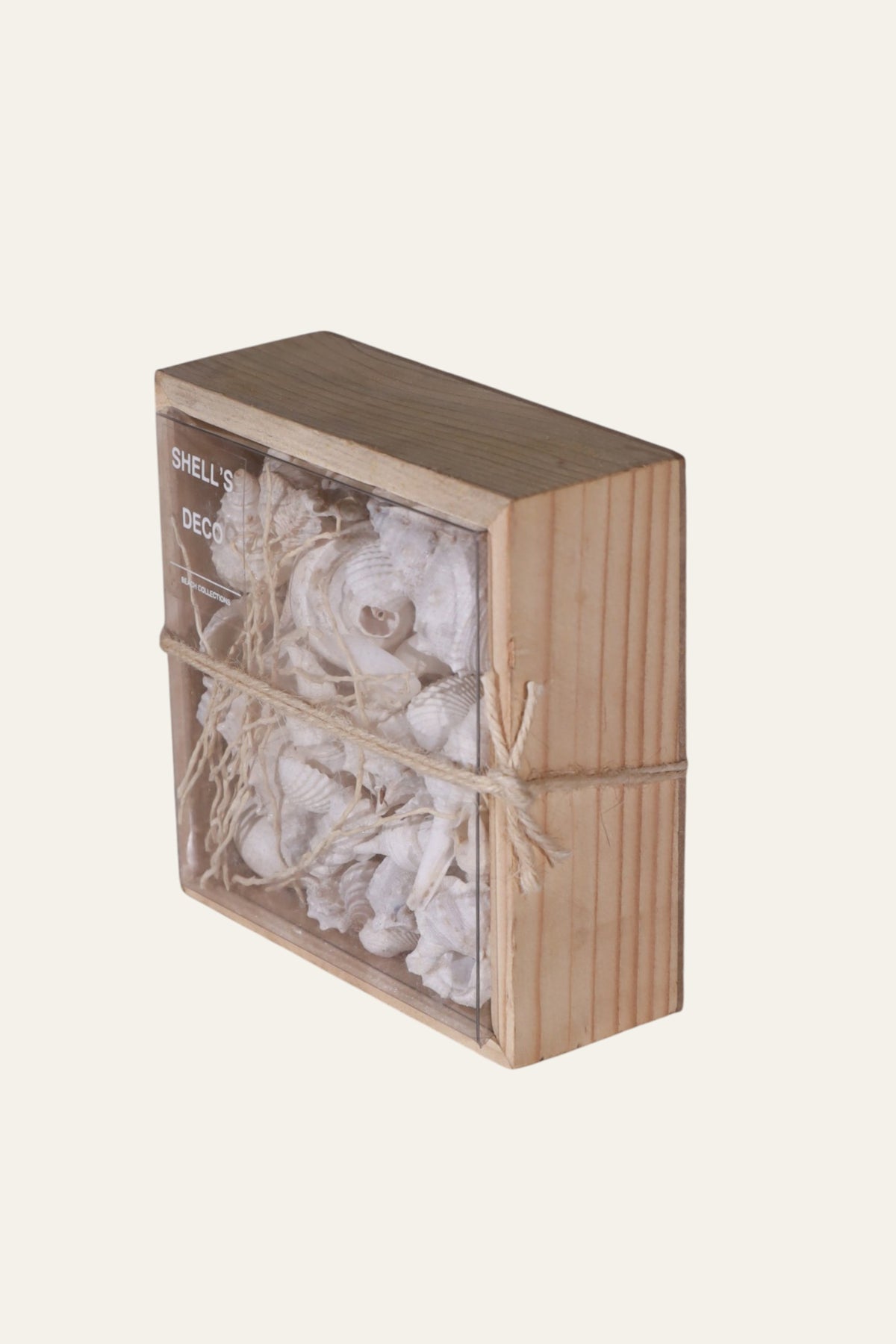 White Shell Box for Coastal Wall & Shelf Decor