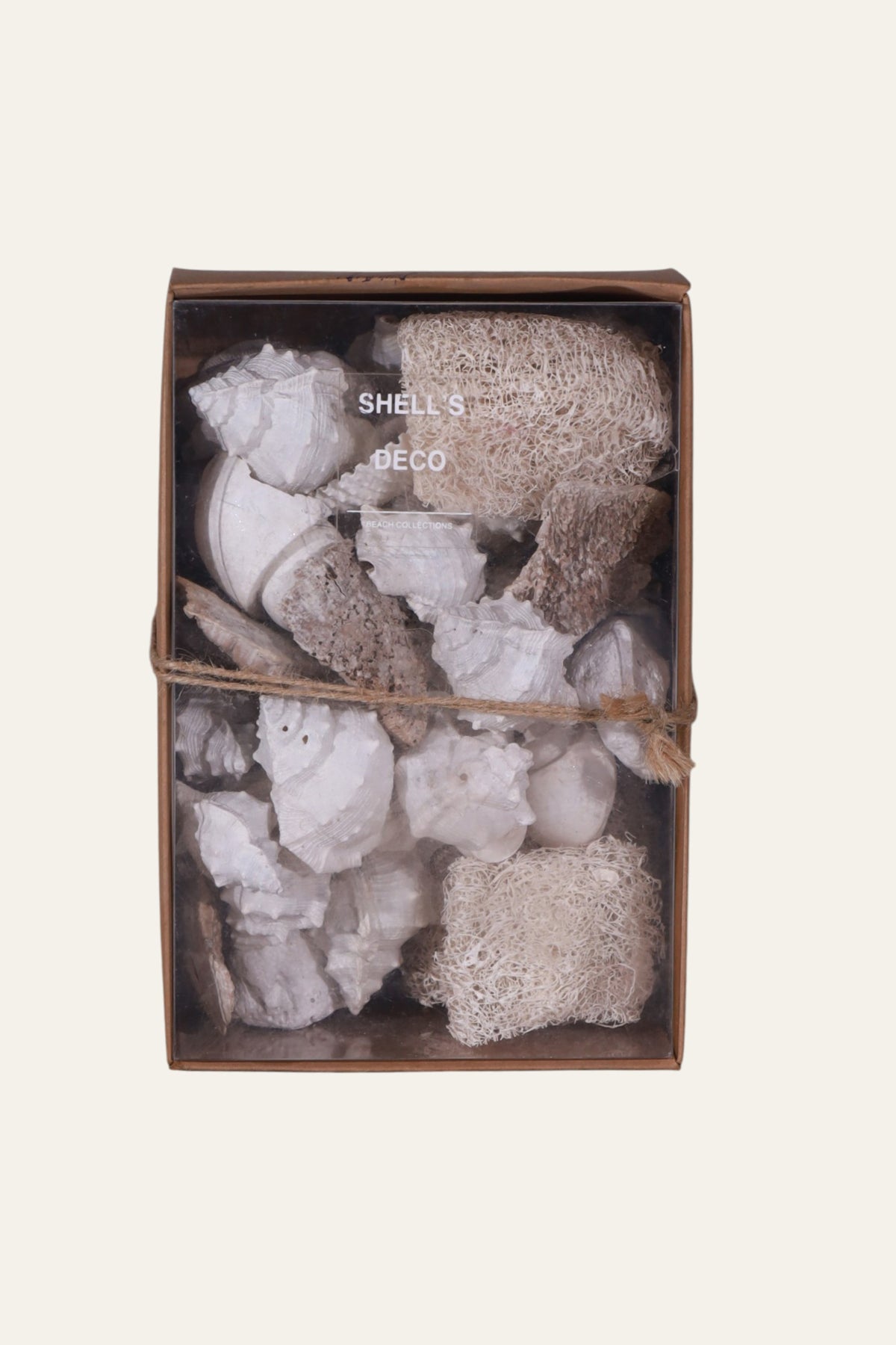 Mixed Seashell Box for Coastal Living Room & Hallway Decor