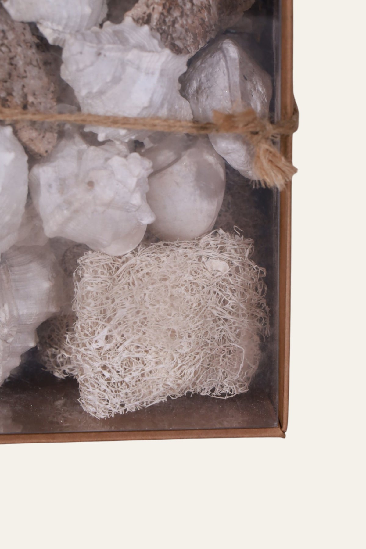 Mixed Seashell Box for Coastal Living Room & Hallway Decor