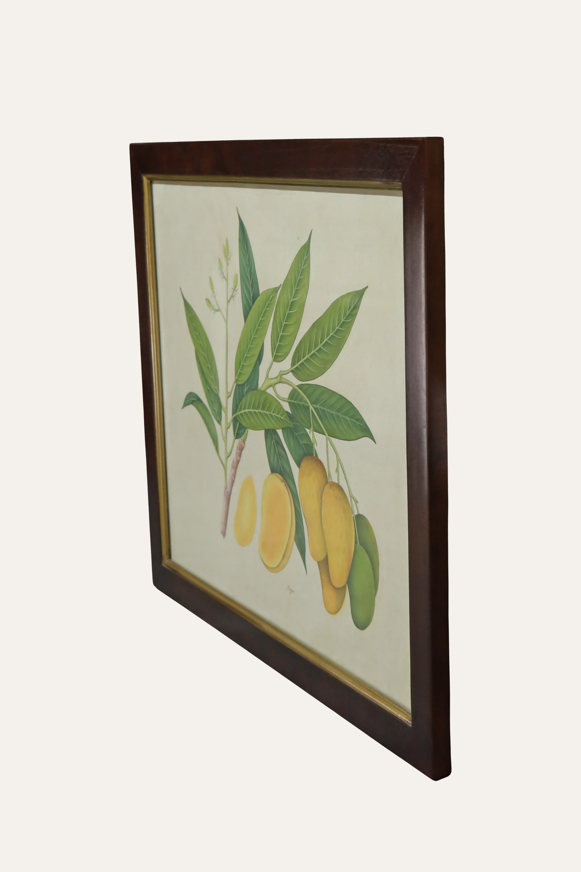 Mango Botanical Illustration for Dining Room & Nature-Inspired Wall Decor