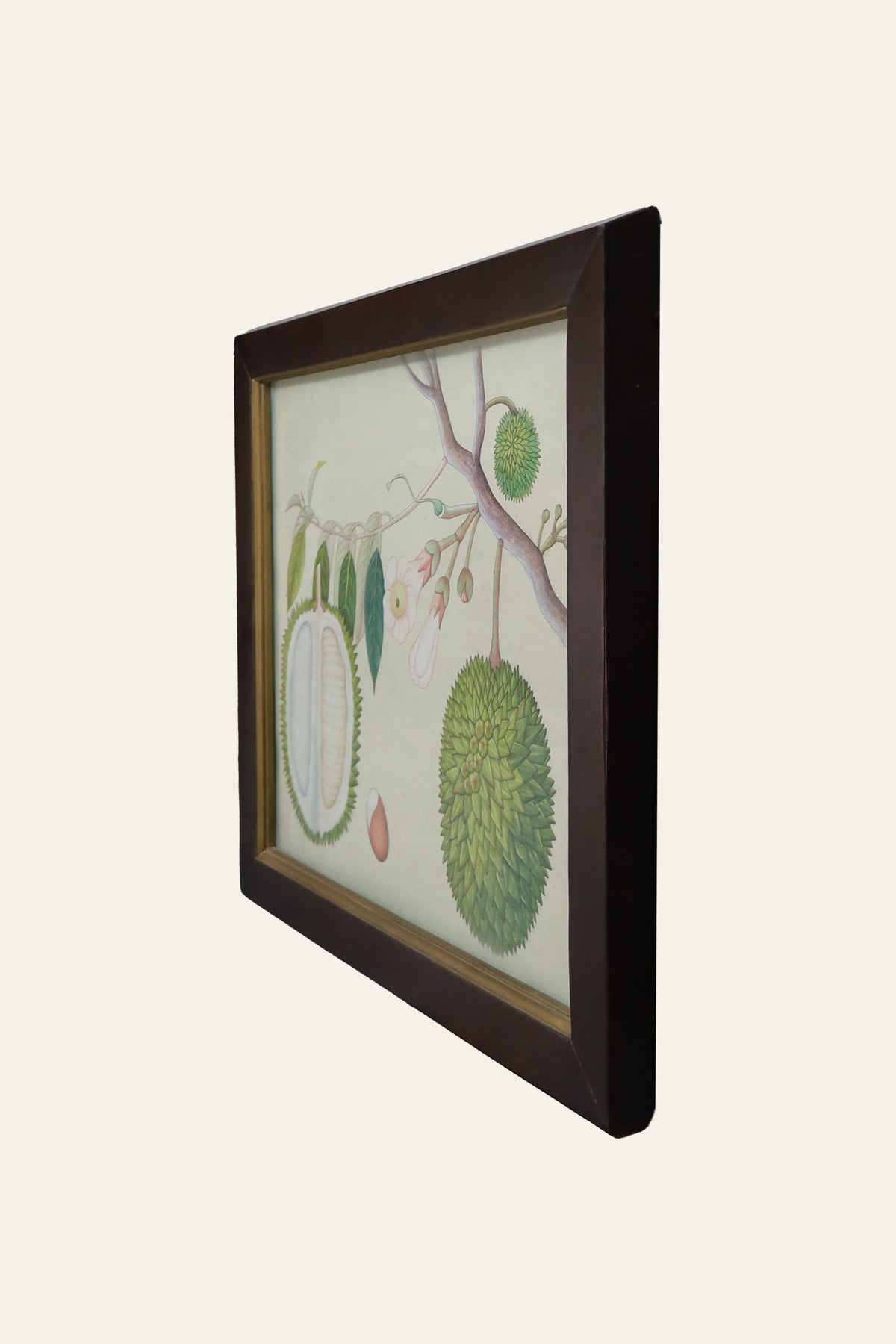 Hanging Jackfruit on Tree Watercolor Painting for Kids' Study Rooms