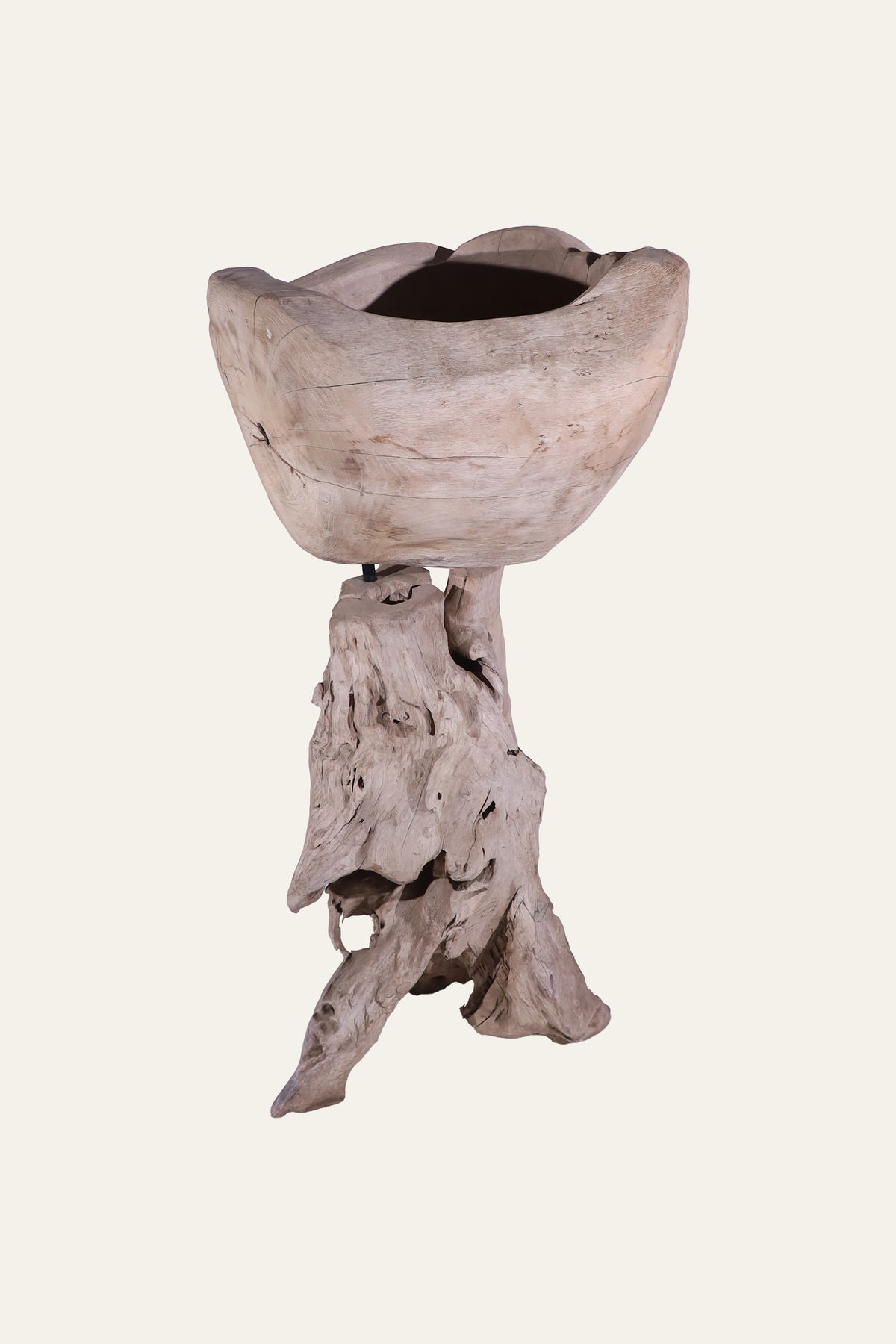 Natural Root Wood Pedestal Bowl Stand