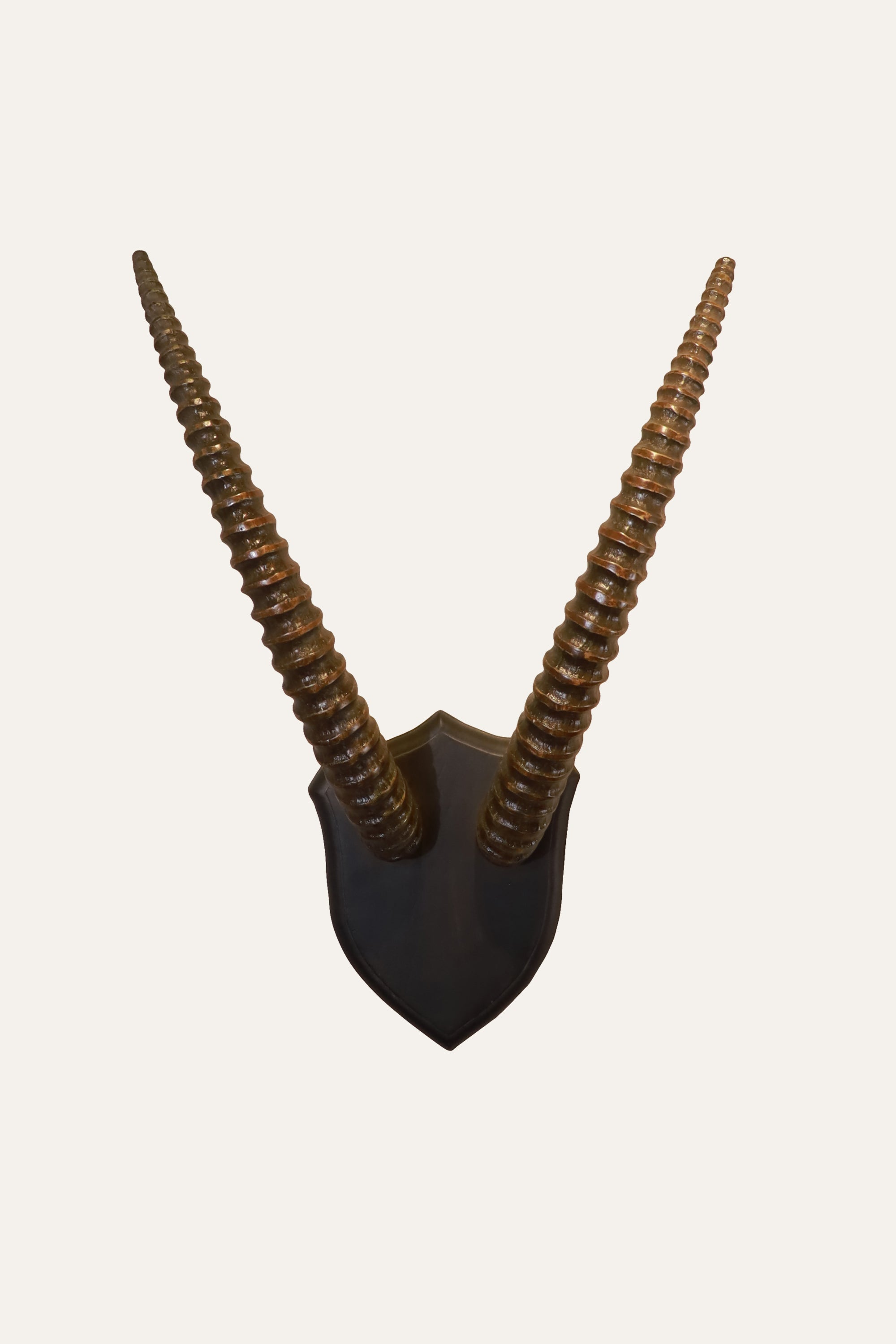 Wooden Antelope Horn Wall Decor for Entryway Accent Styling