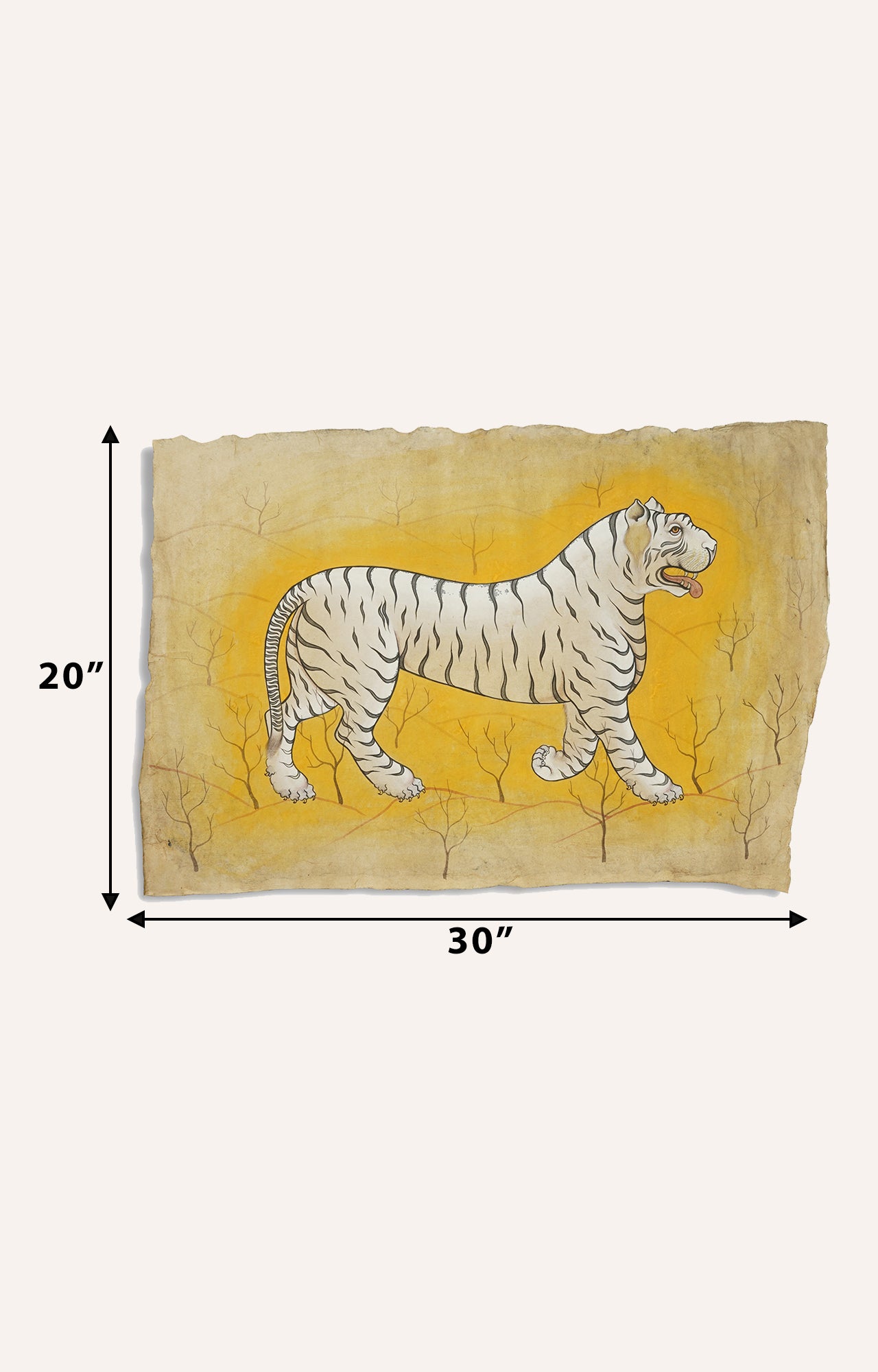 Indian_White_Tiger_size