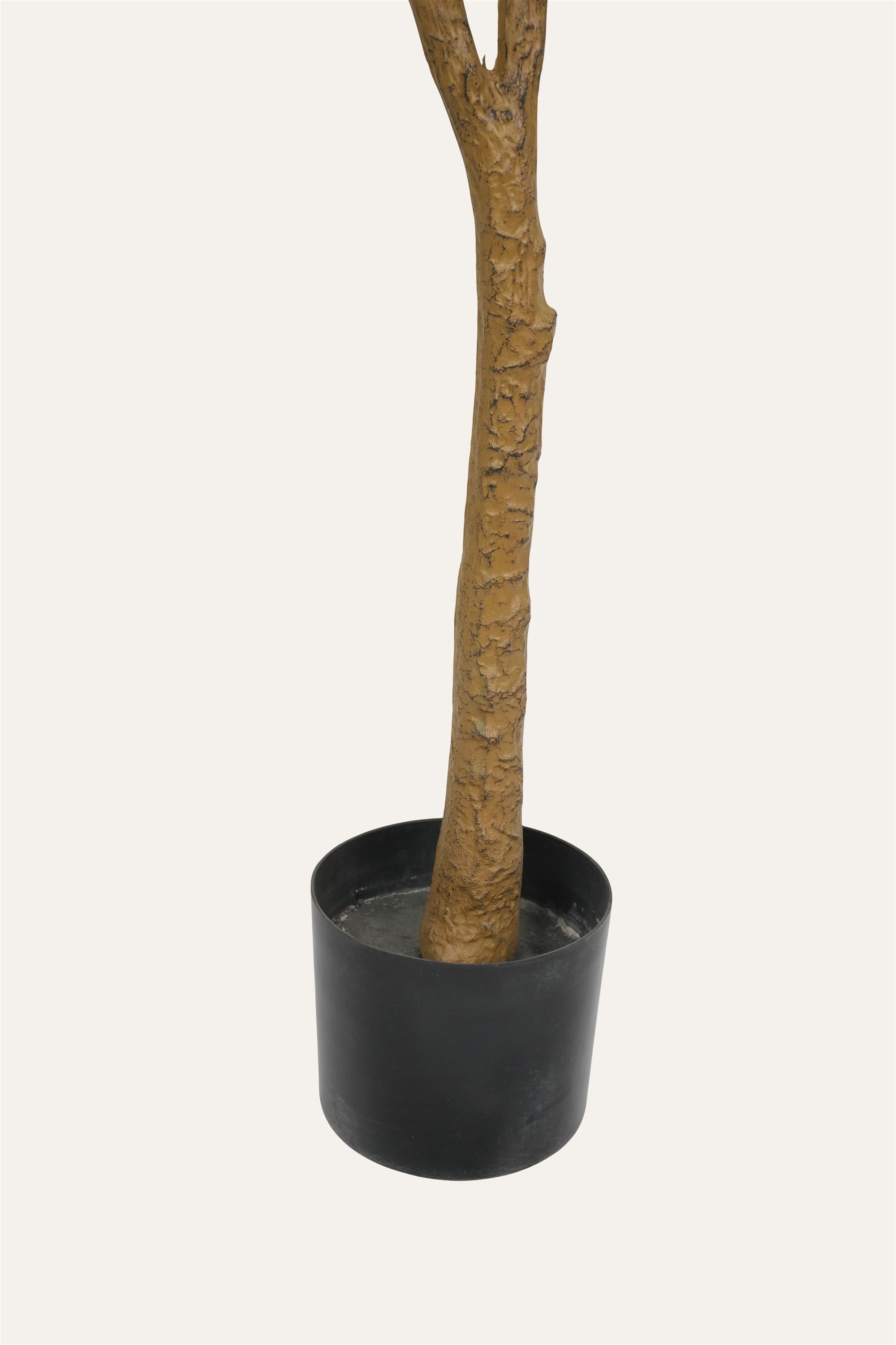 Indoor floral décor plant