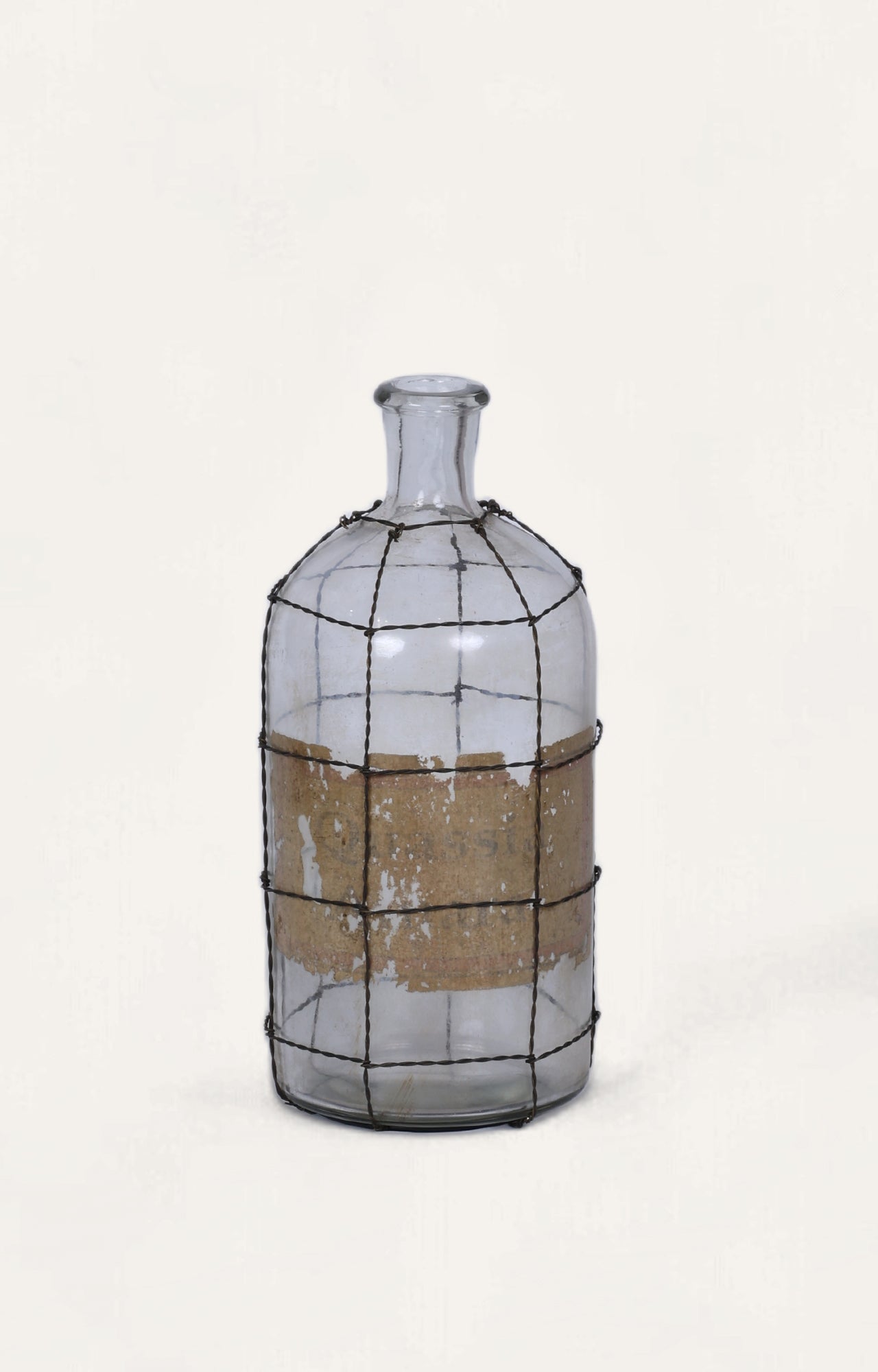 Jardiniere Wire-Caged Glass Vase