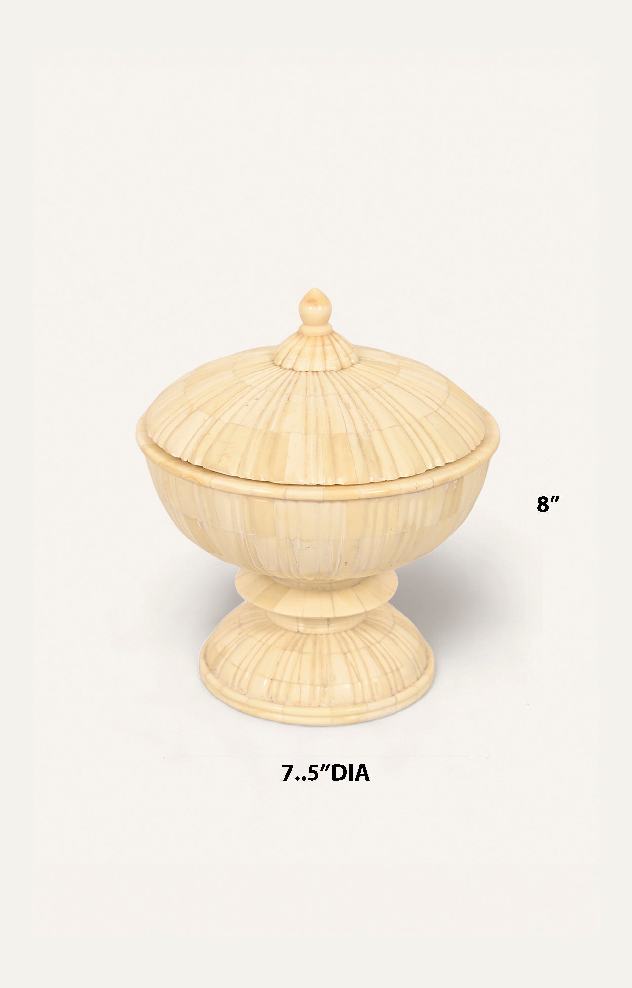 King's Camel Bone Box_size
