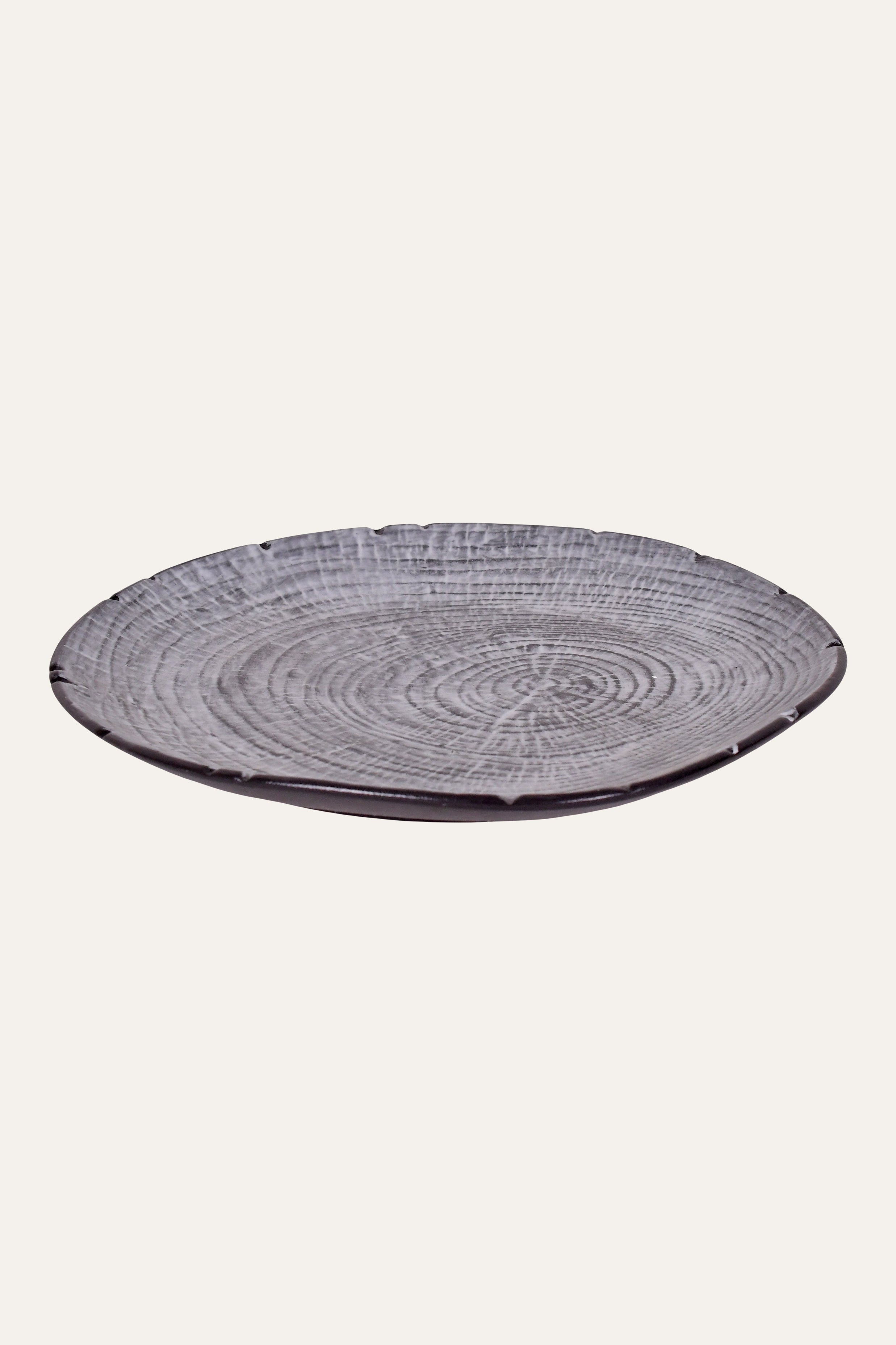 Large concentric ring ceramic plate for serving meals