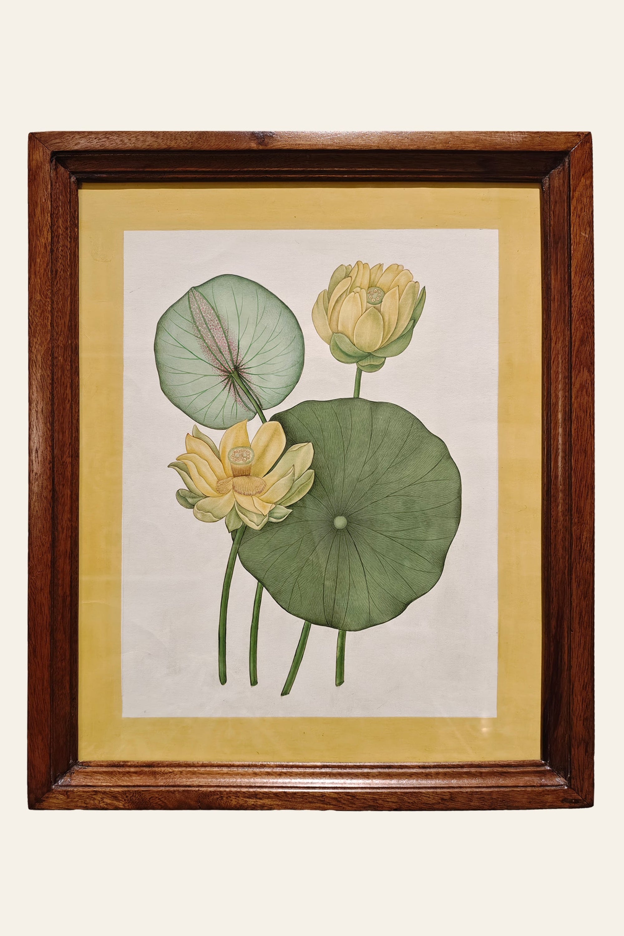 Lotus Botanical Print