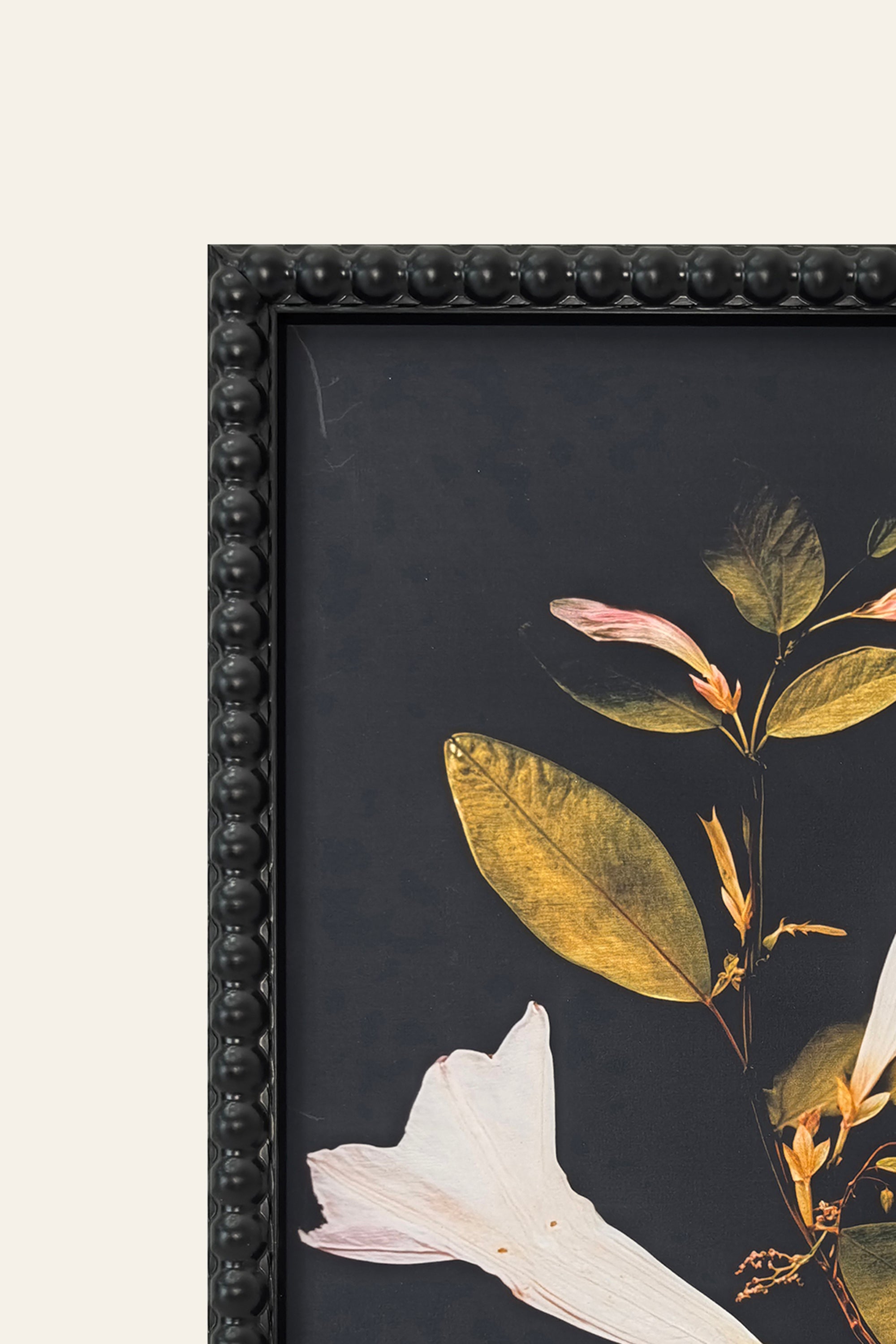 Luxury Floral Botanical Artwork for Living Room