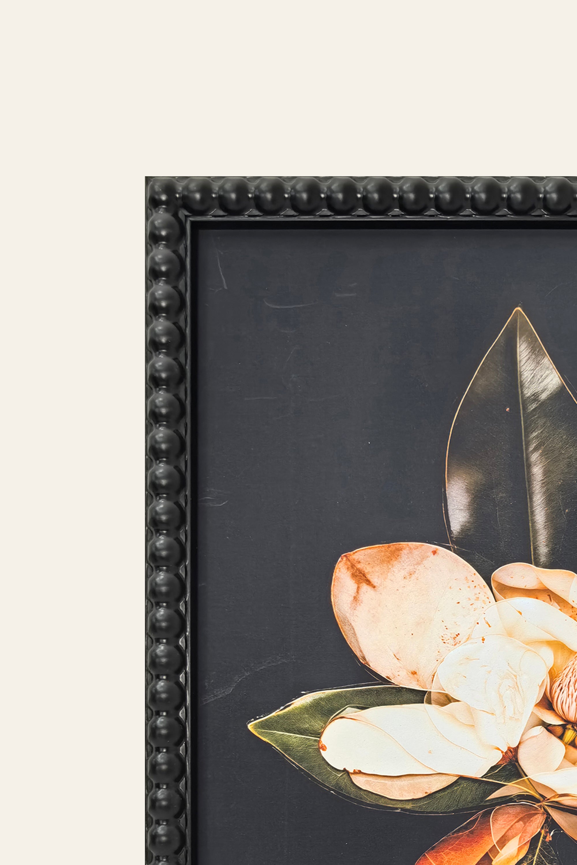 Luxury Magnolia Flower Canvas Artwork