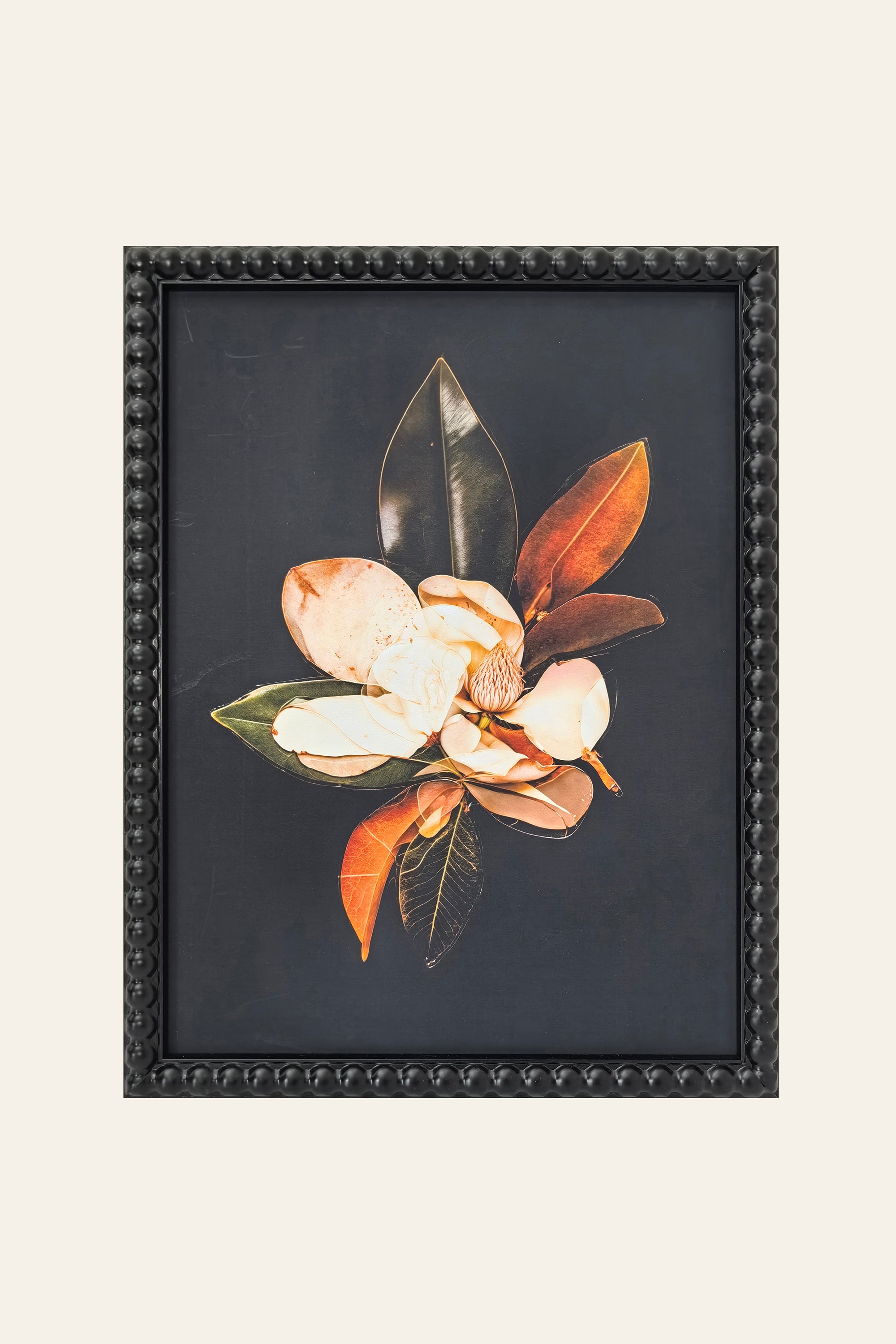 Magnolia Bloom Botanical Print Wall Art