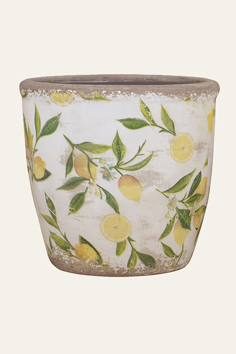 Mediterranean Style Pot