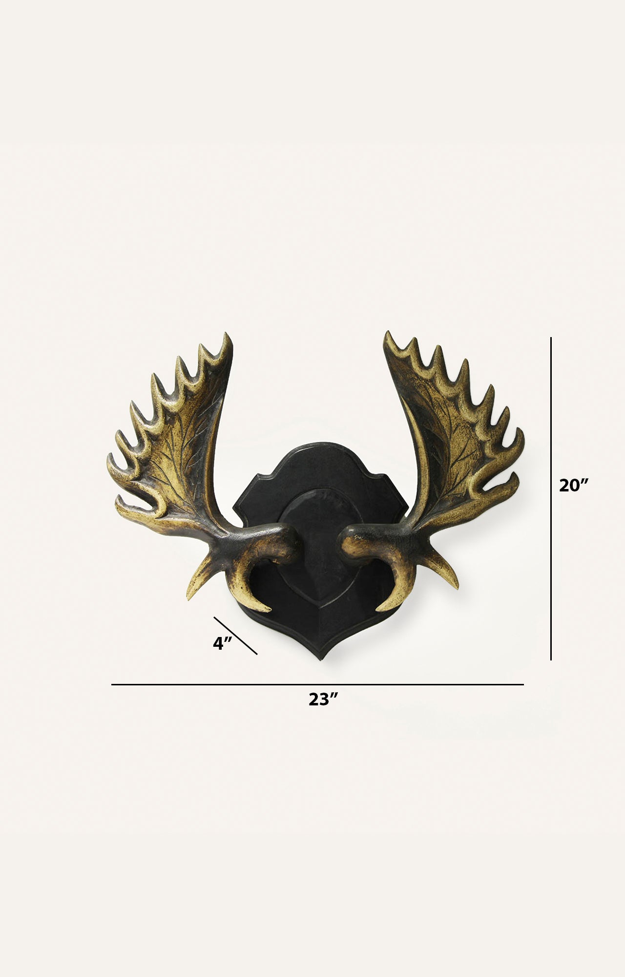 Moose Antler Display_size