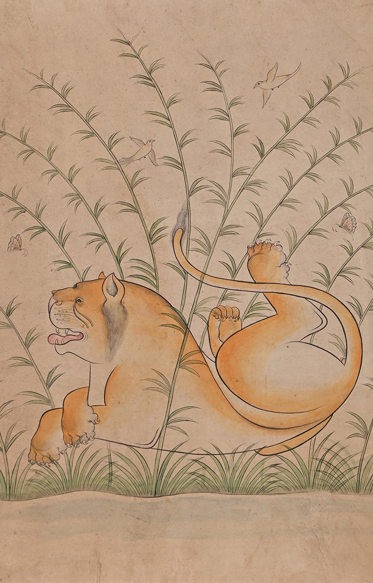 Mughal Art : Chilling Tiger_detailed