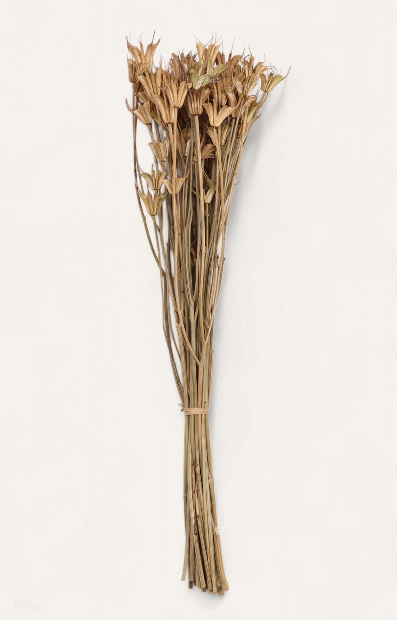 Oneiro Natural Dried Flower Bouquet