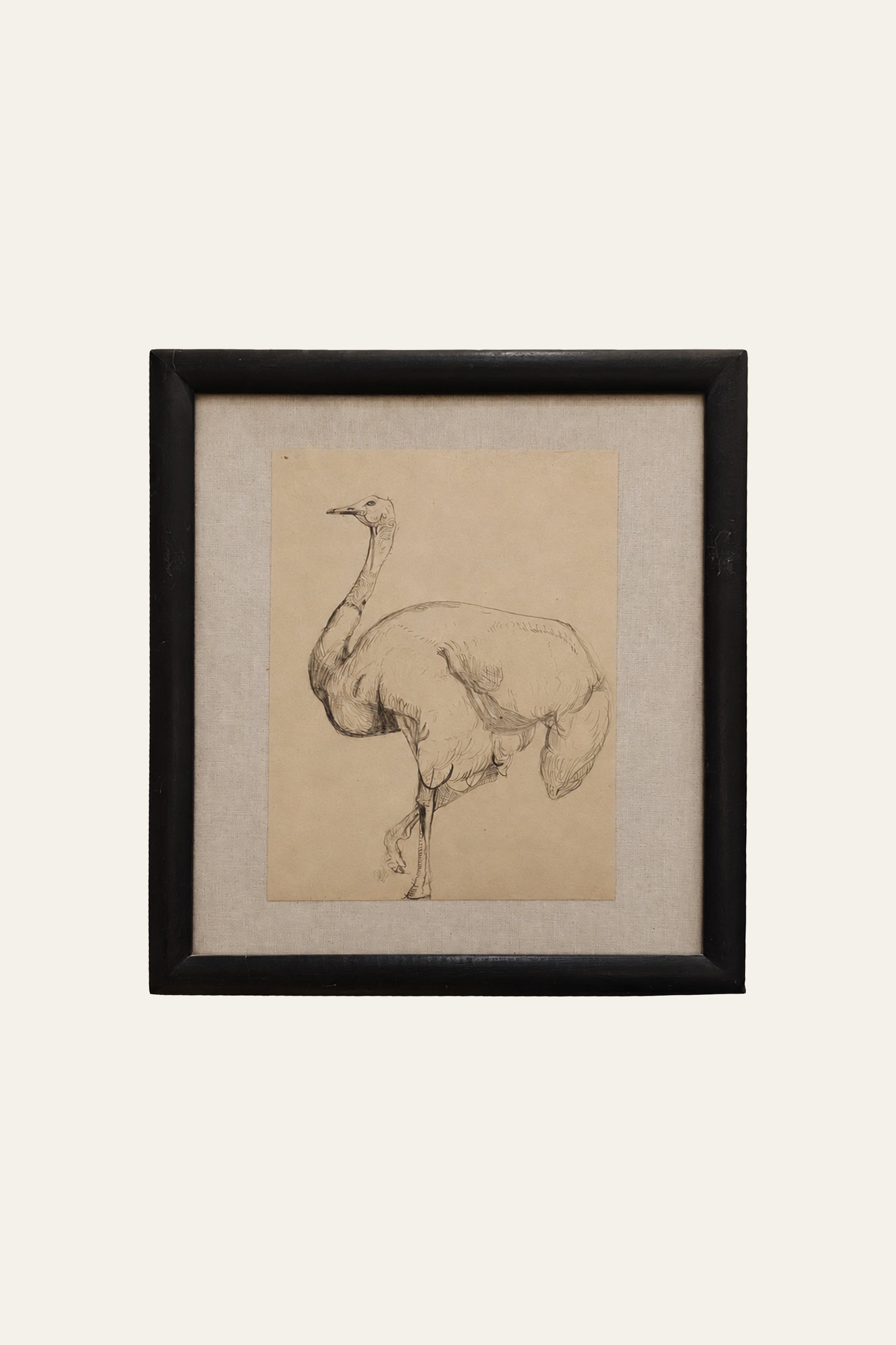 Ostrich Miniature Painting