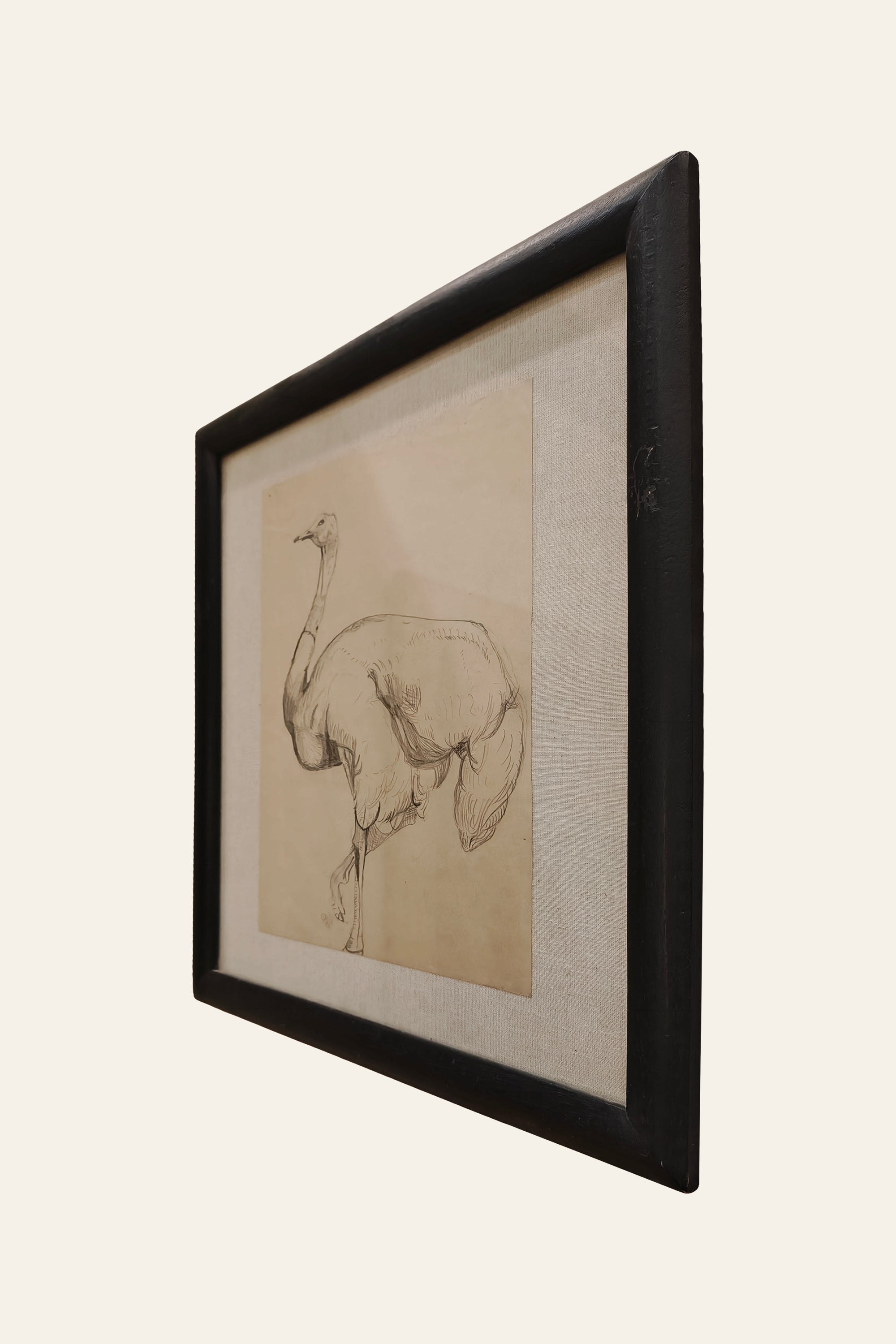 Ostrich Painting
