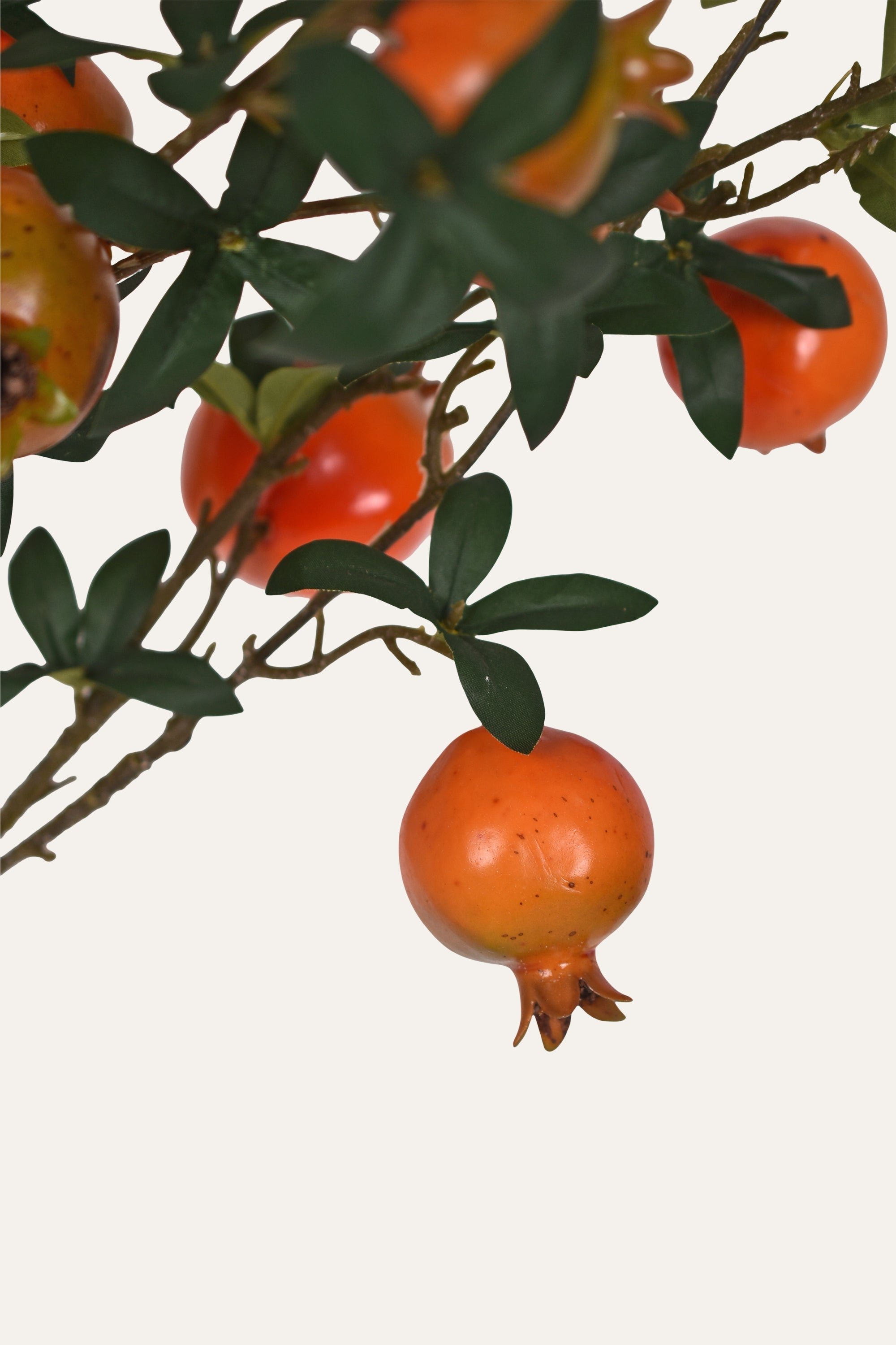 Pomegranate fruits on a branch