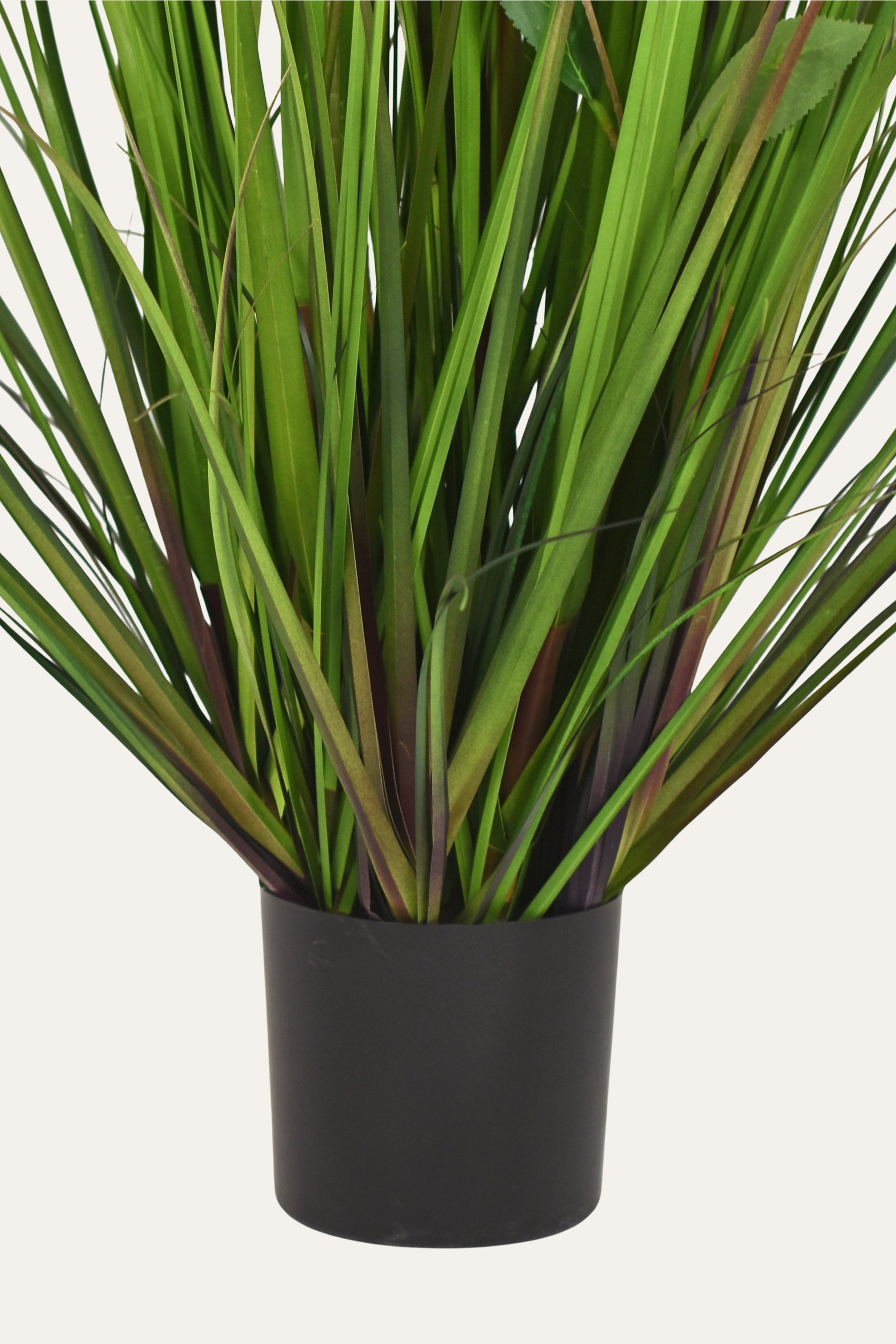 Decorative Luminous Daffodil Plant