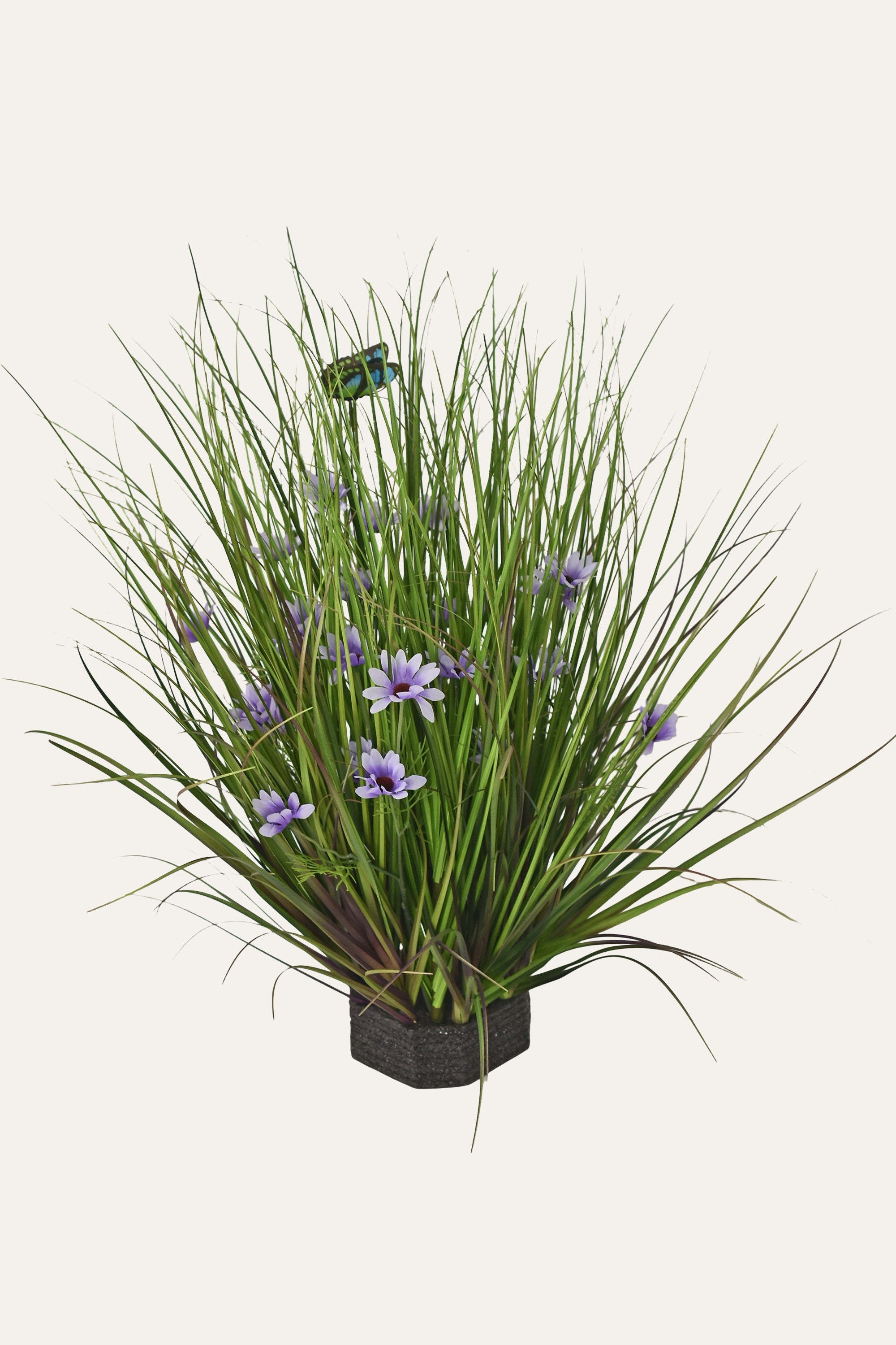 Decorative Lavender Plant