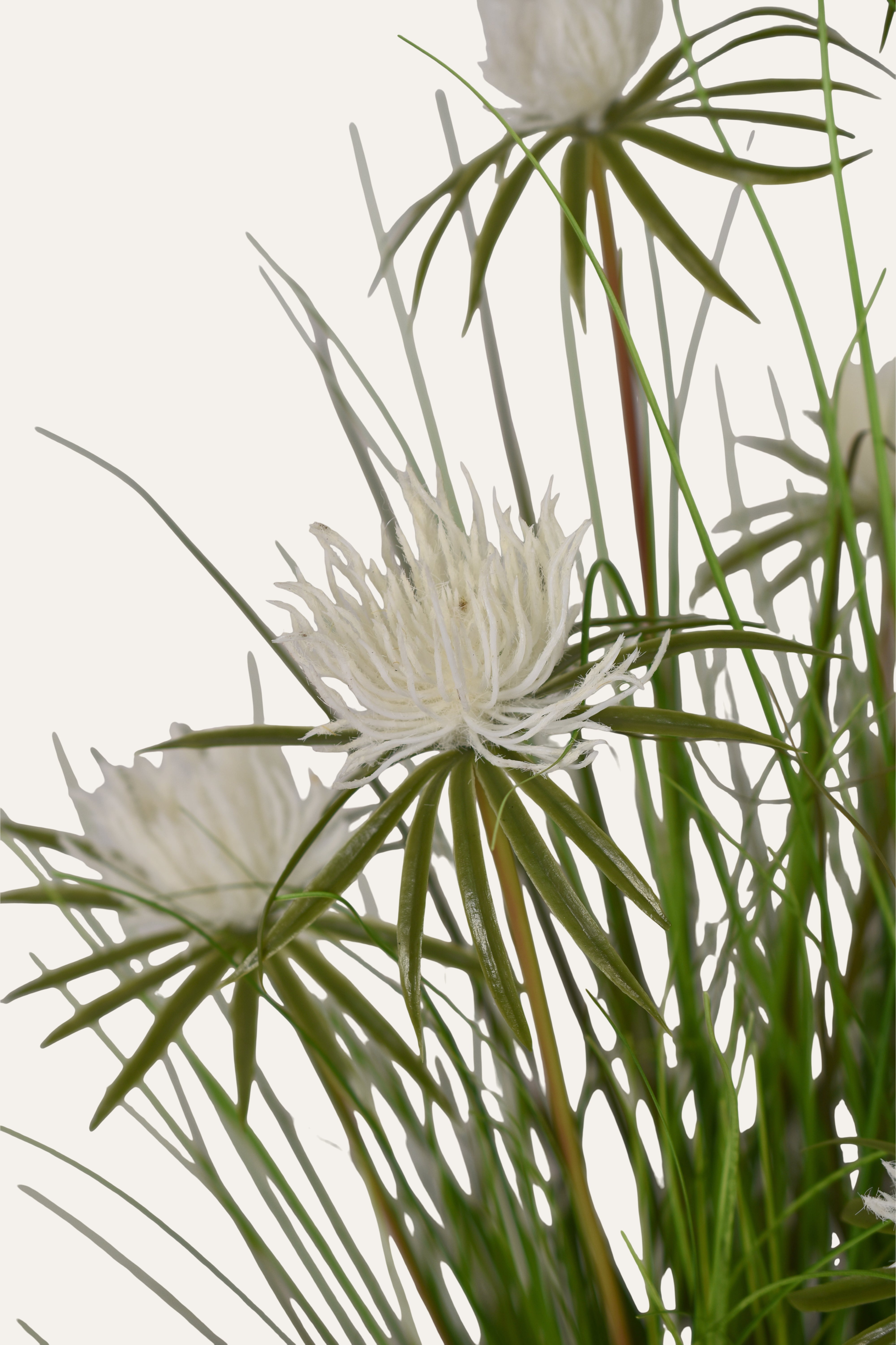 Decretive Artificial Plant