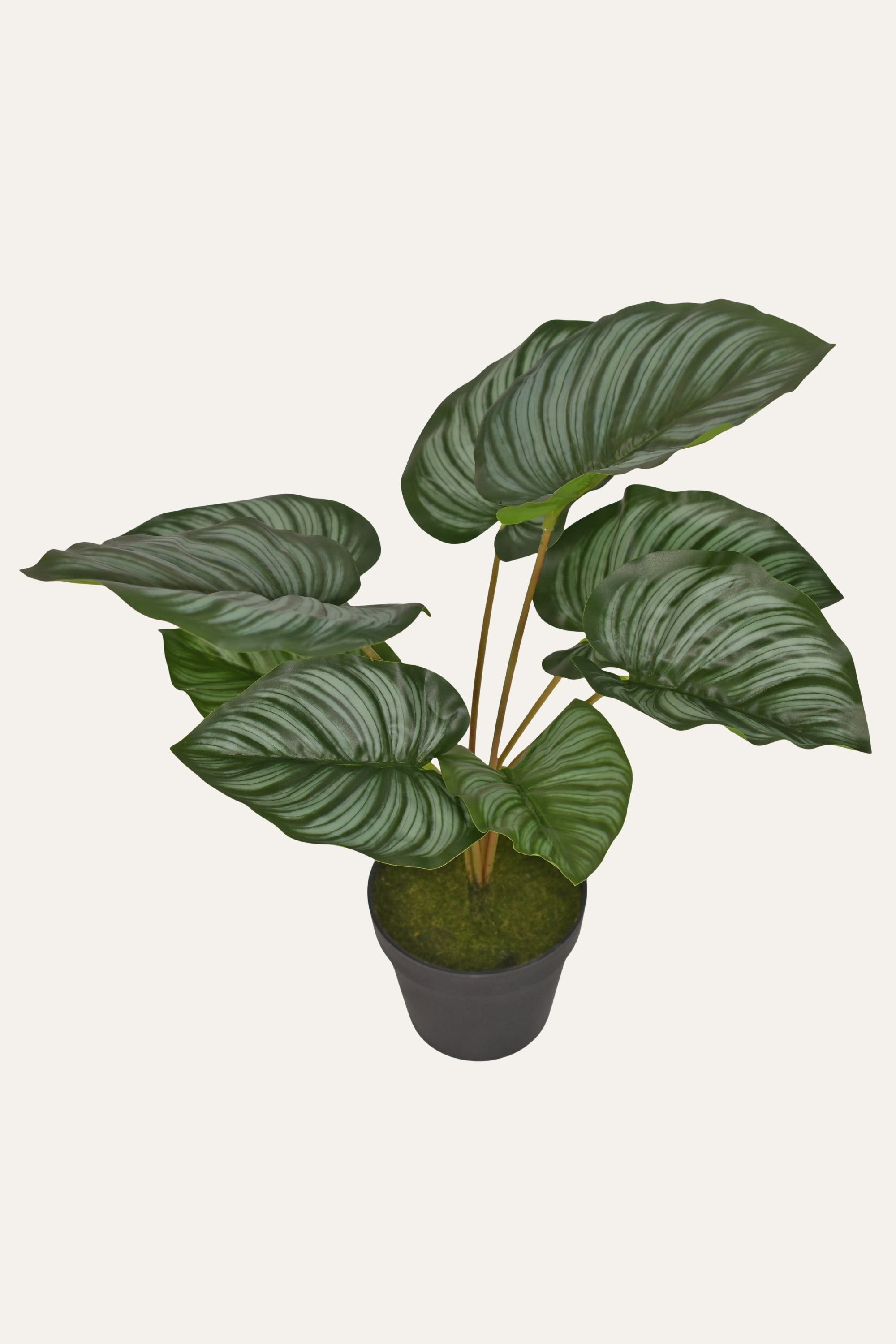Decorative Stripe Leaf Artificial Plant