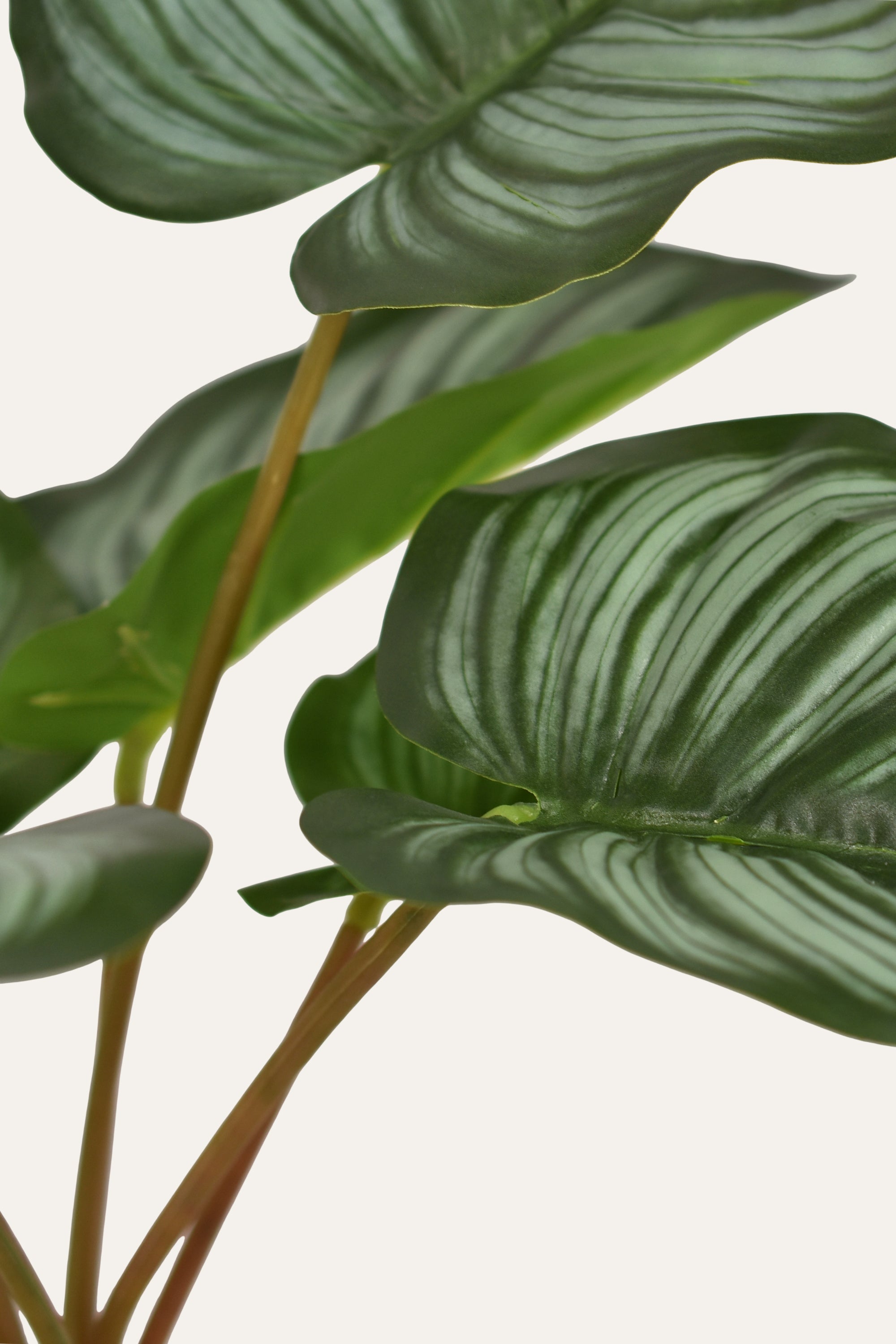 Stripe Leaf Artificial Plant