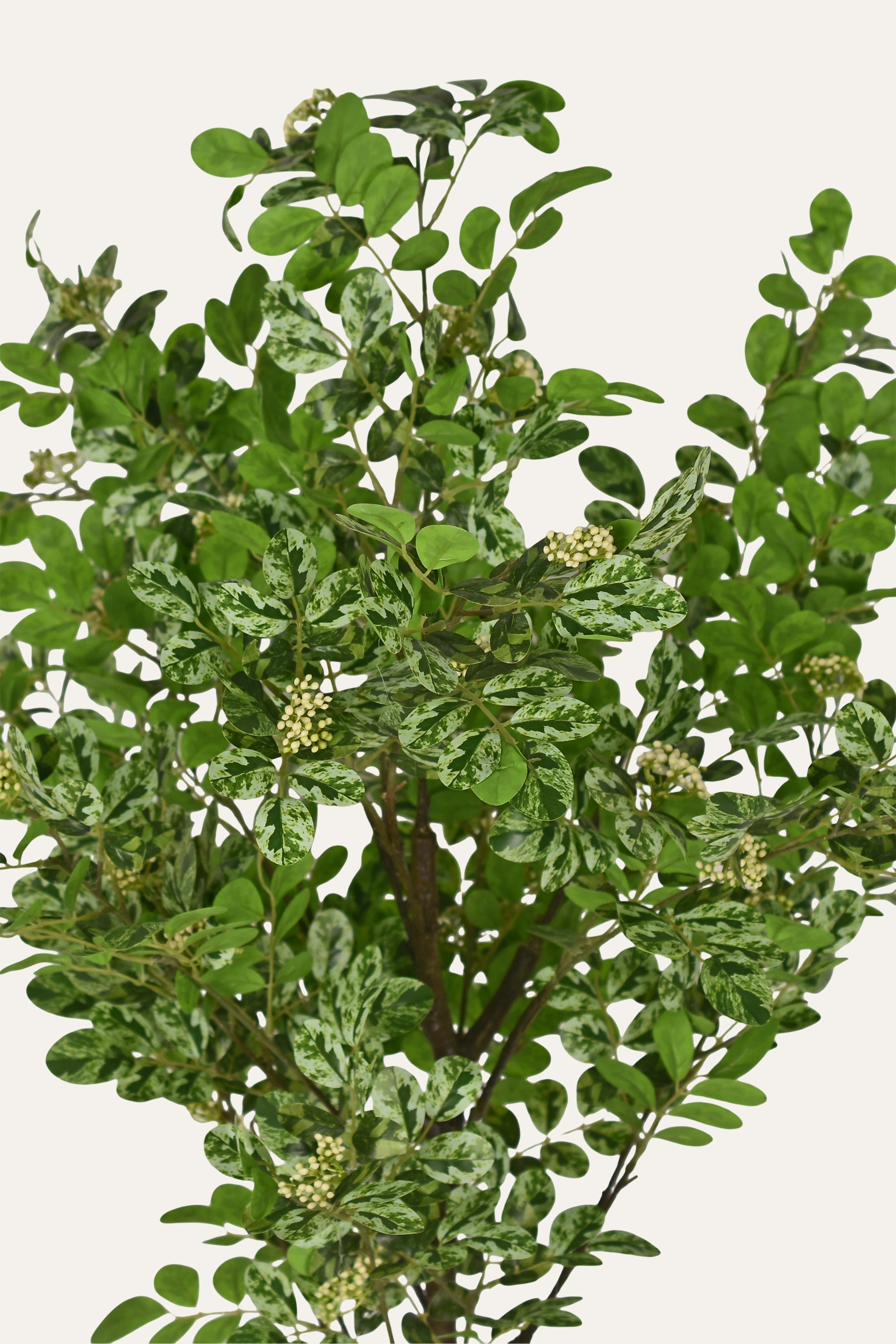 Artificial green bush with leaves