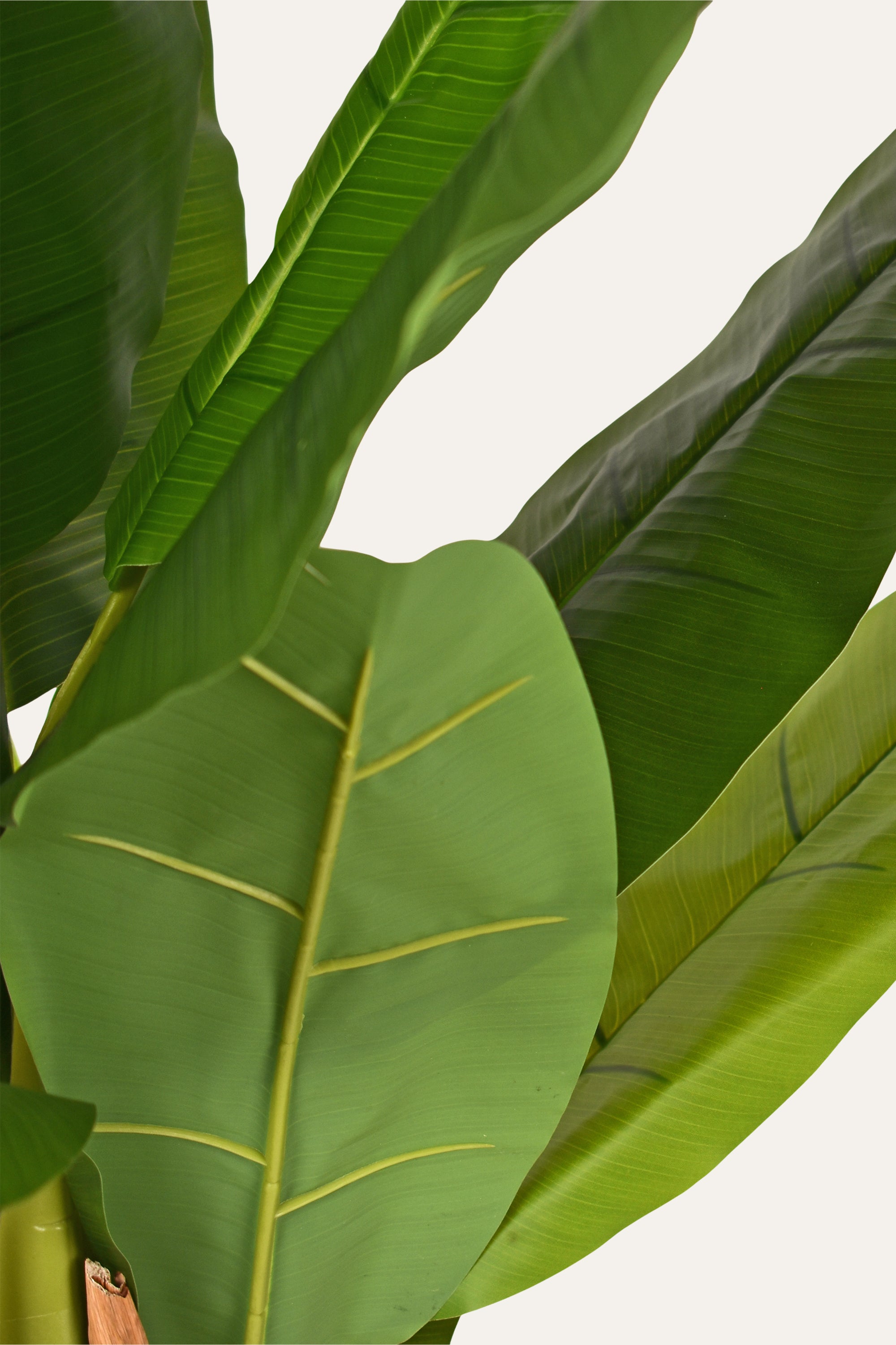 Decorative Artificial Plant