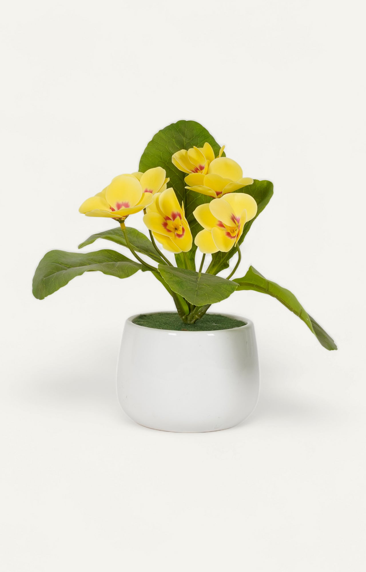 Pair of White Ceramic Bud Vases with Monstera Deliciosa Cuttings - main