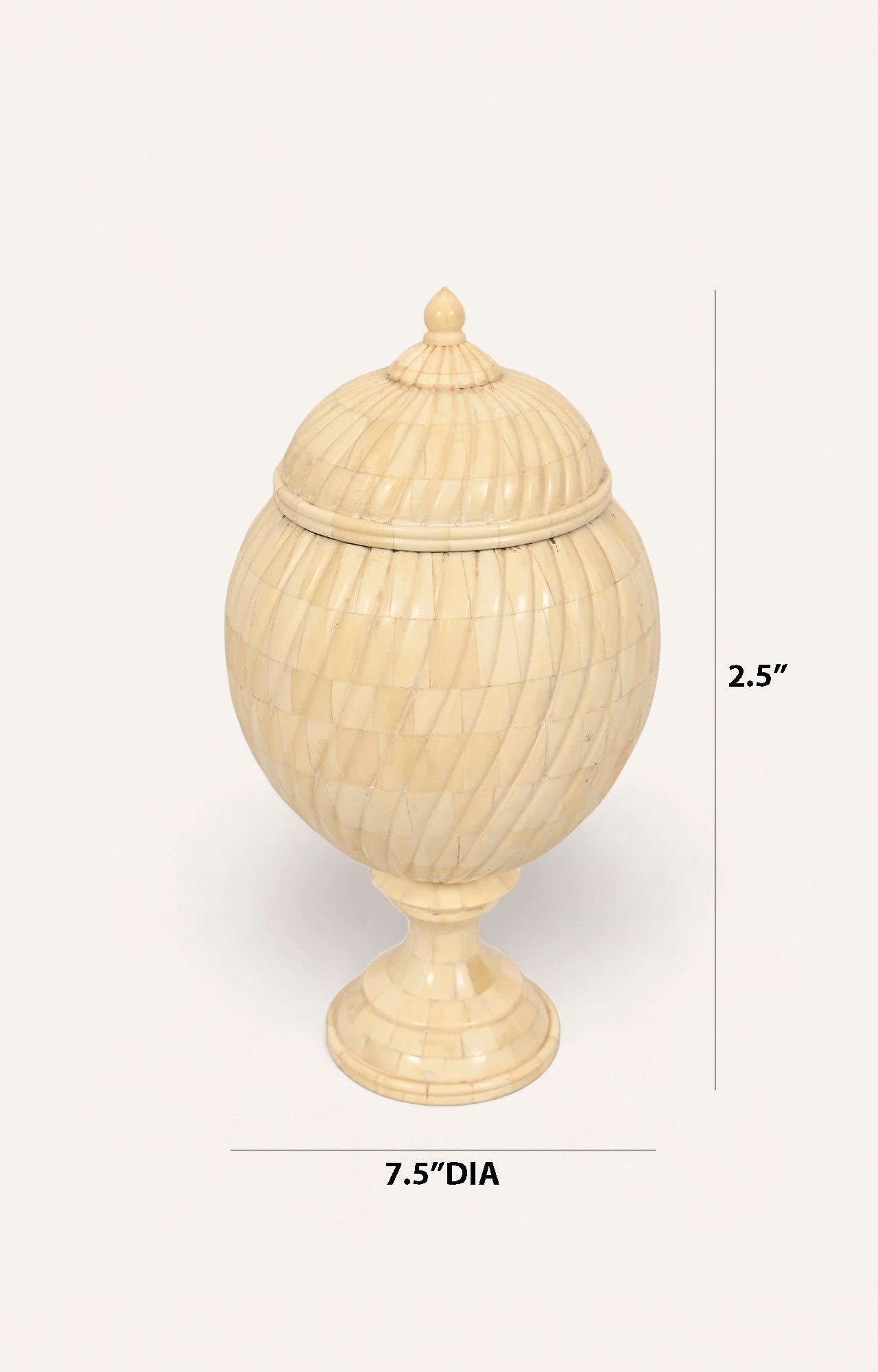 Queen's Camel Bone Box_size