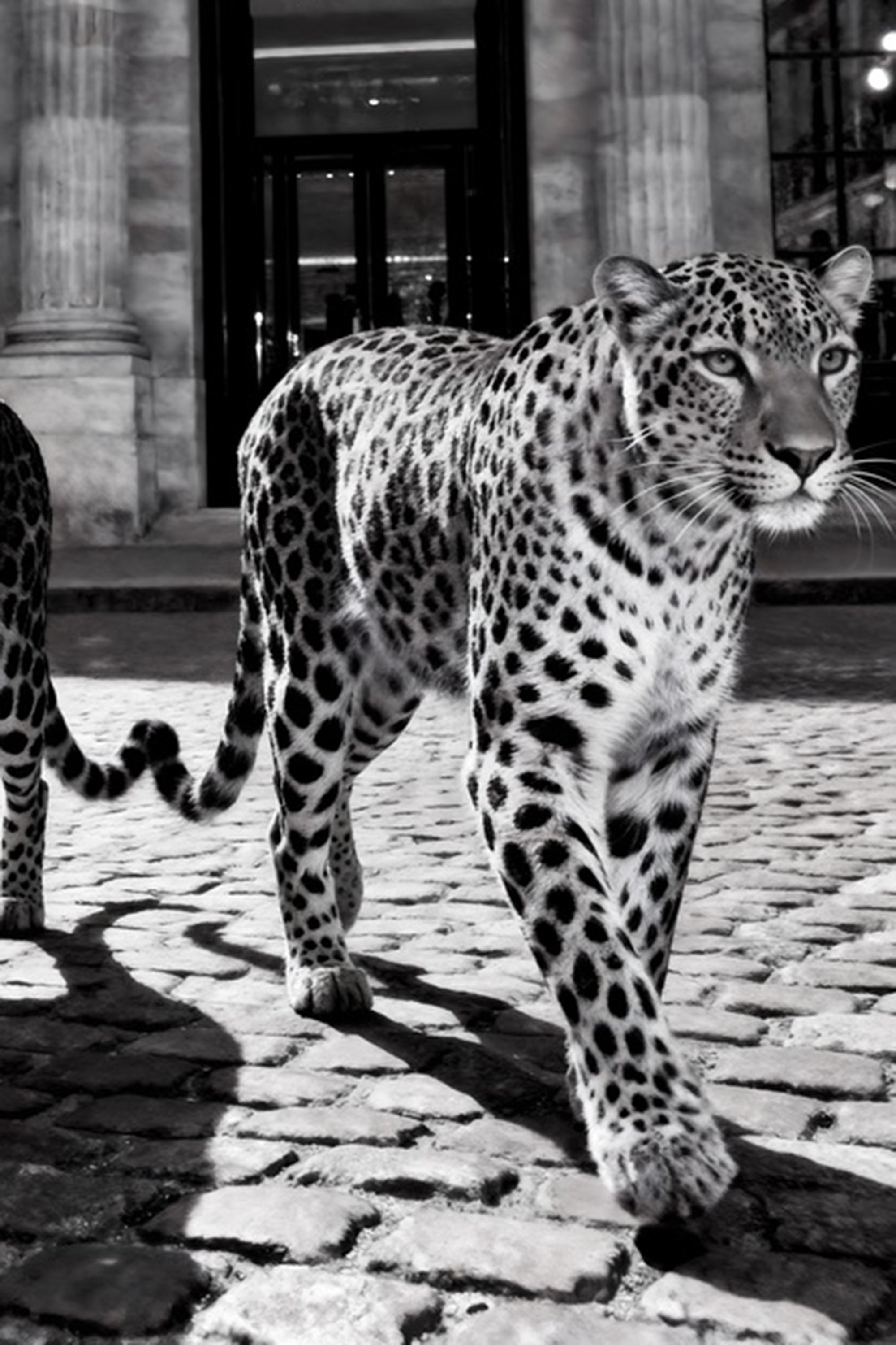 Leopard glass painting