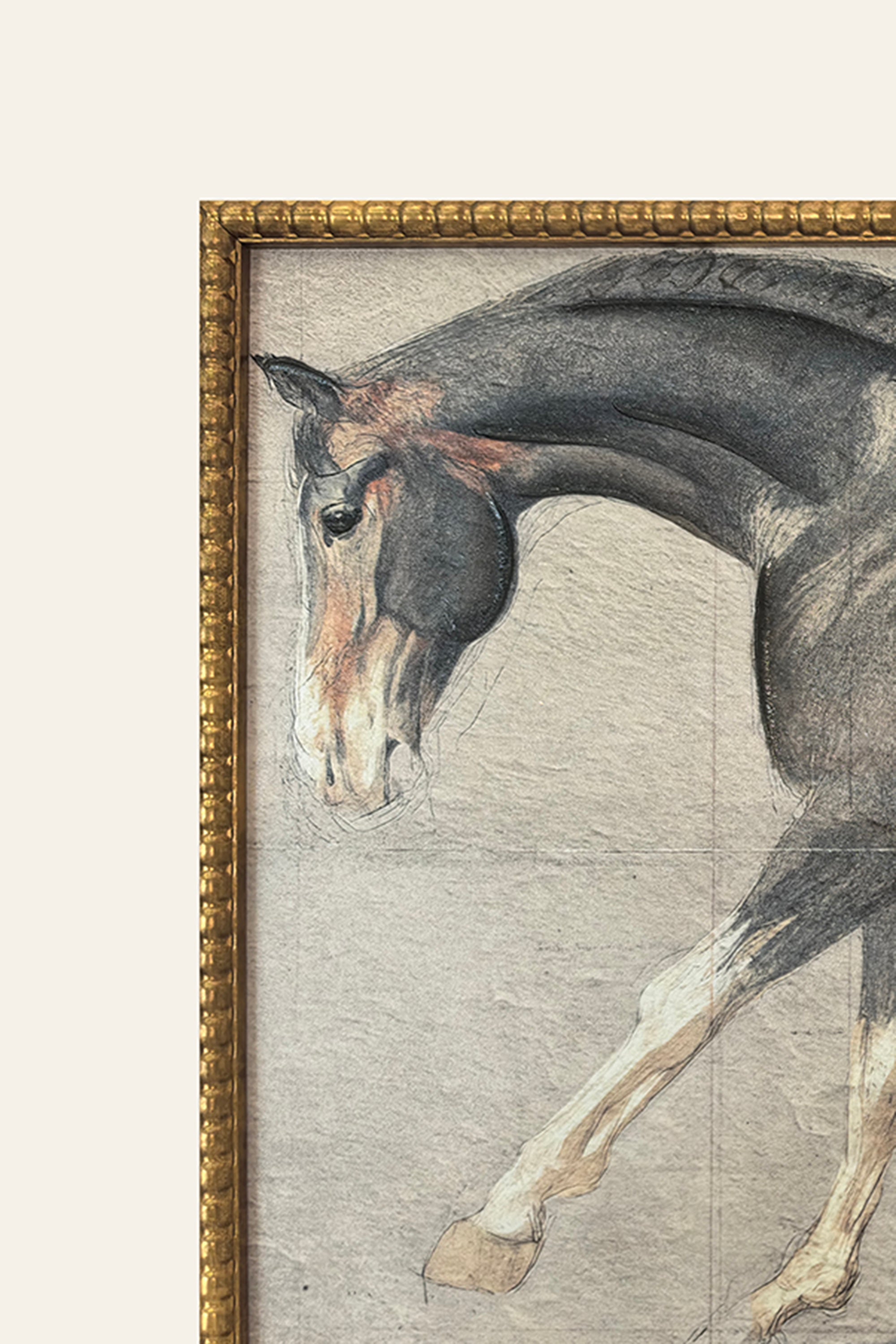 Framed artwork of horse 